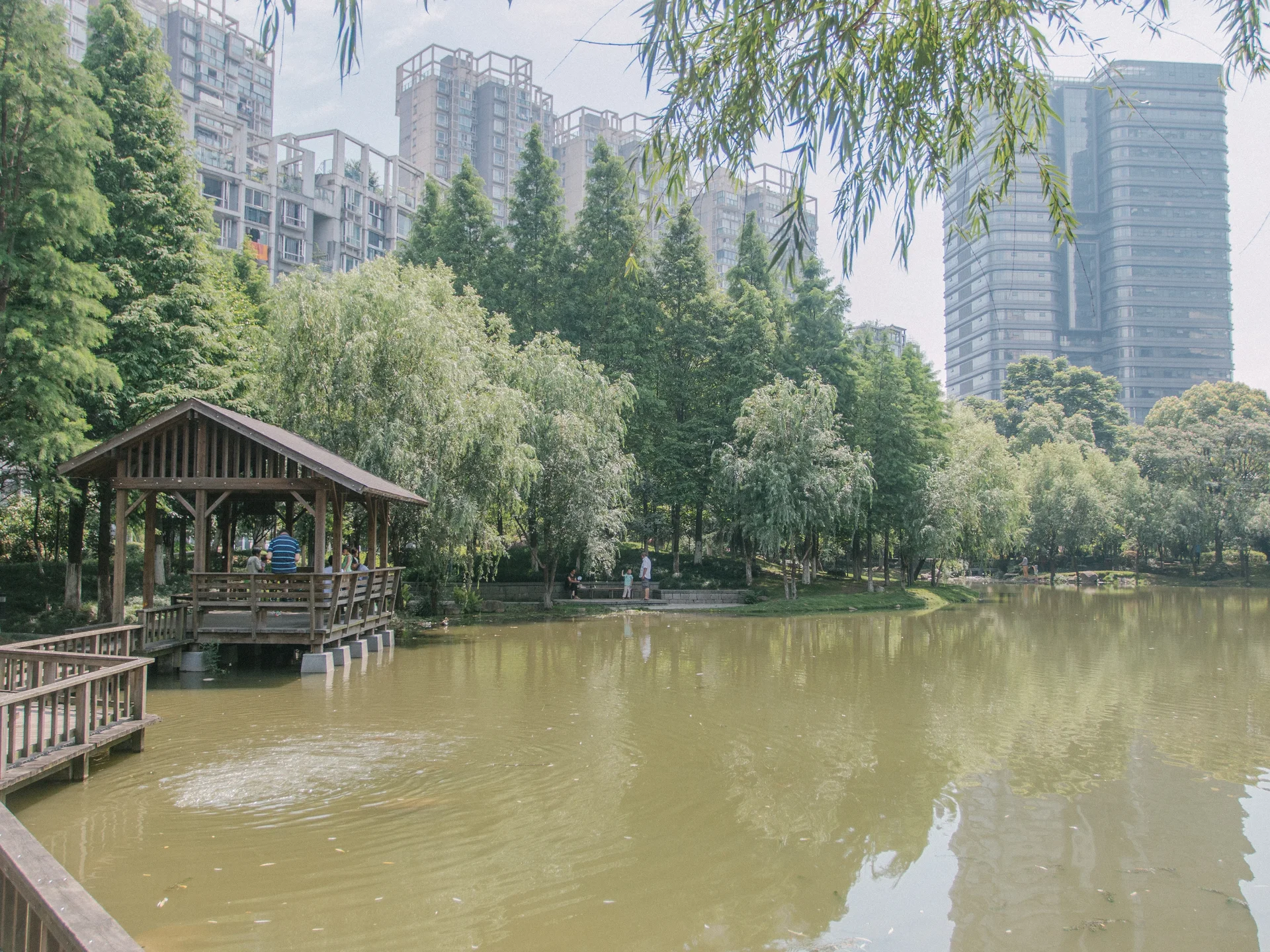 Modern  Garden - Photo 23