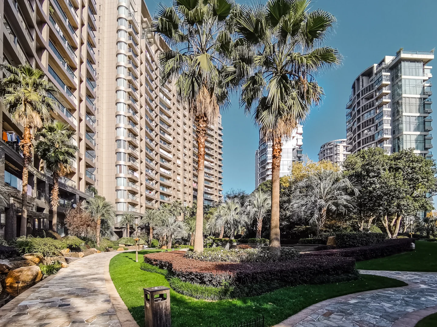 The Dreamland - Photo 2