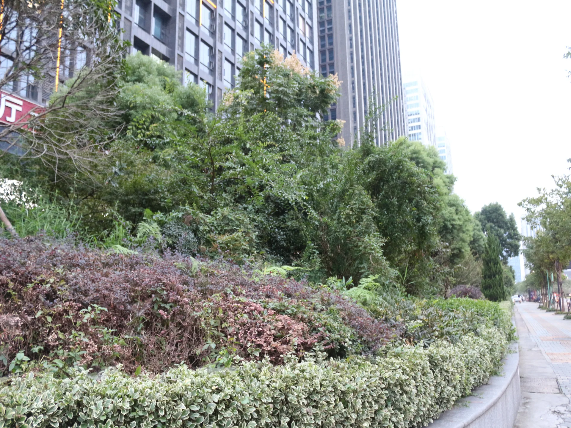 Qianlong Mansion - Photo 6