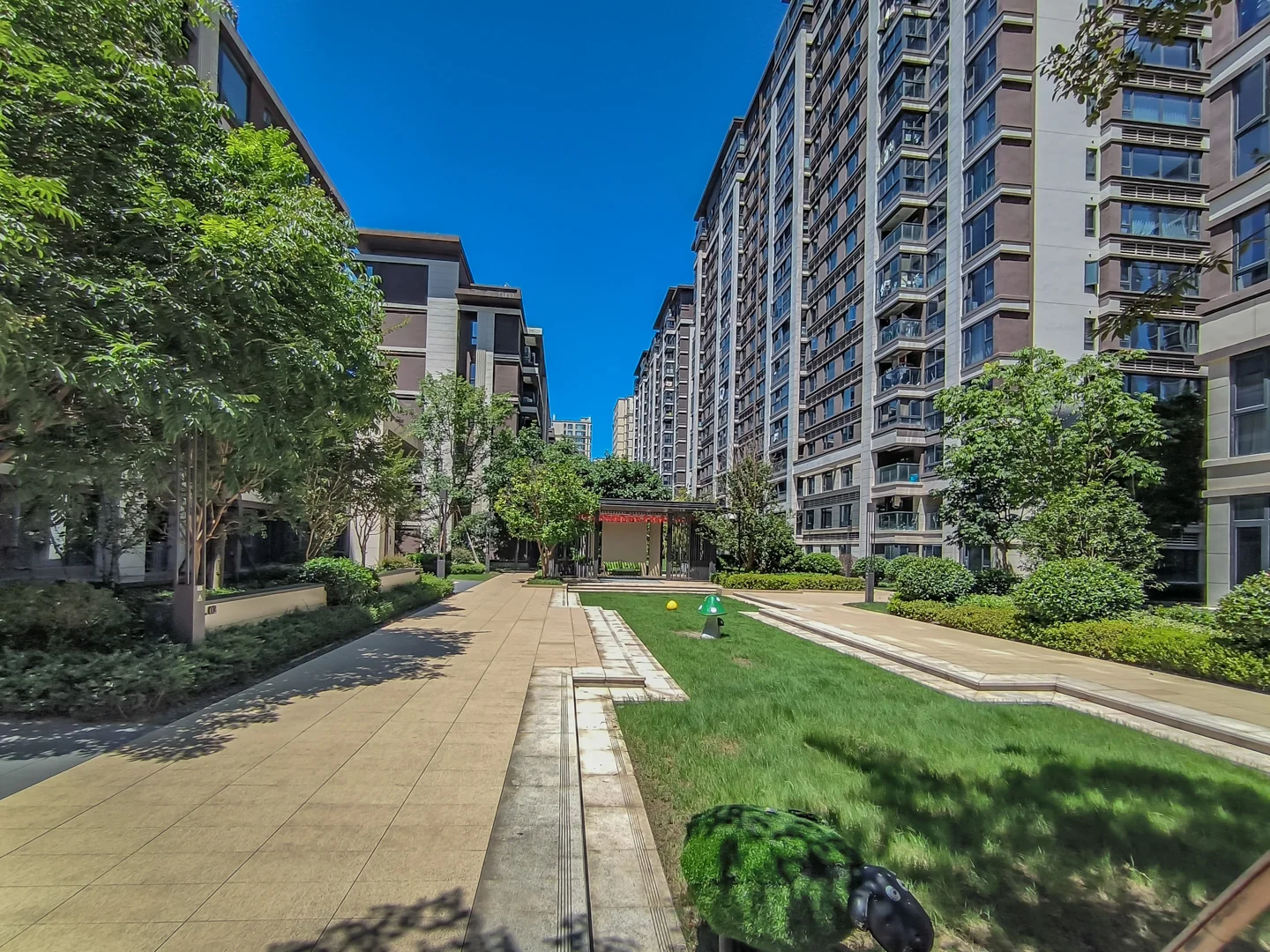 Star Future  - Photo 10