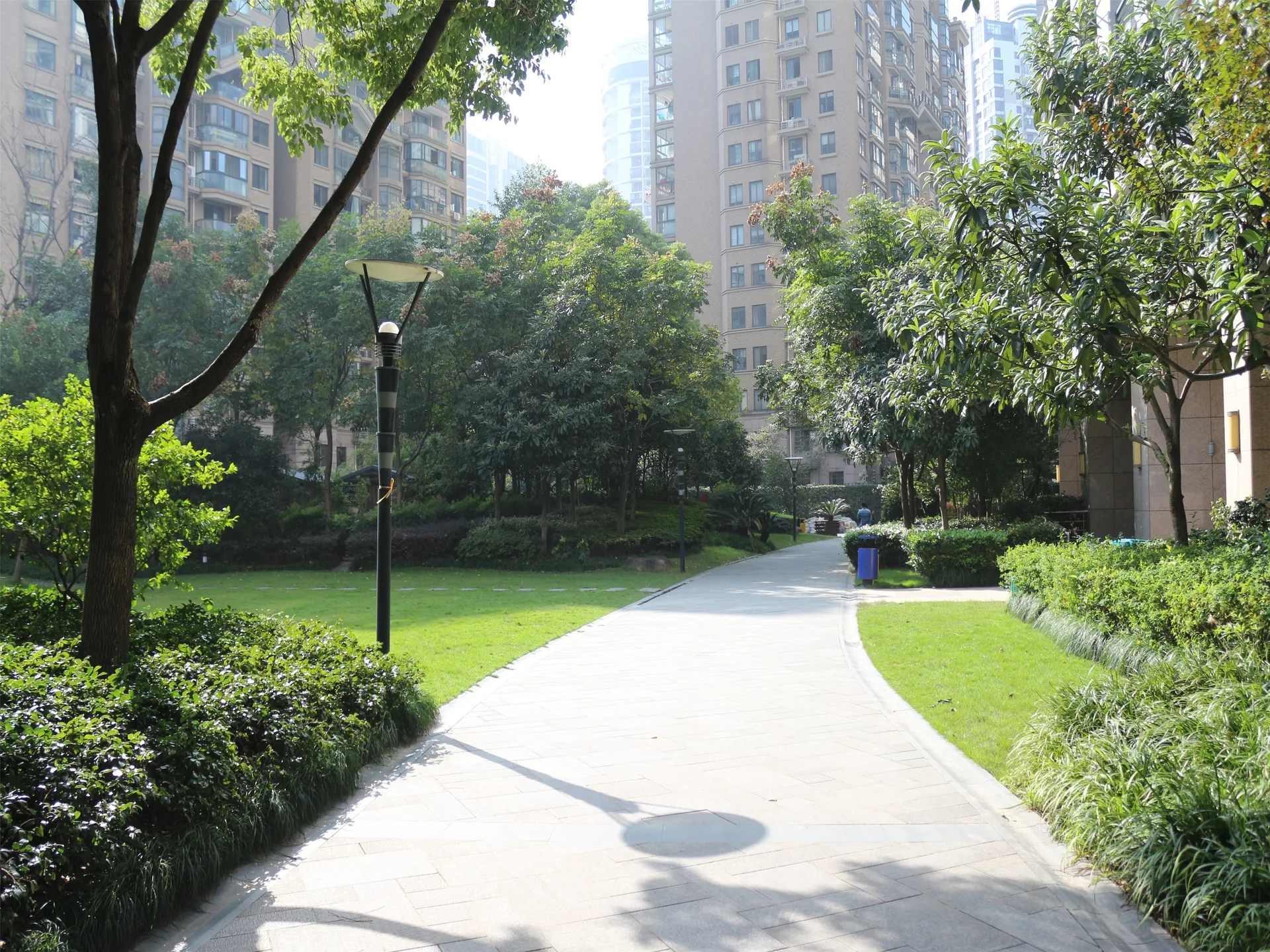 Wisdom World - Photo 6