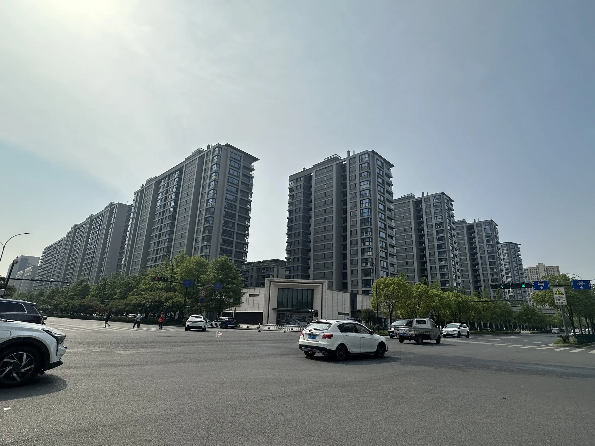 Poly Splendid - Photo 1