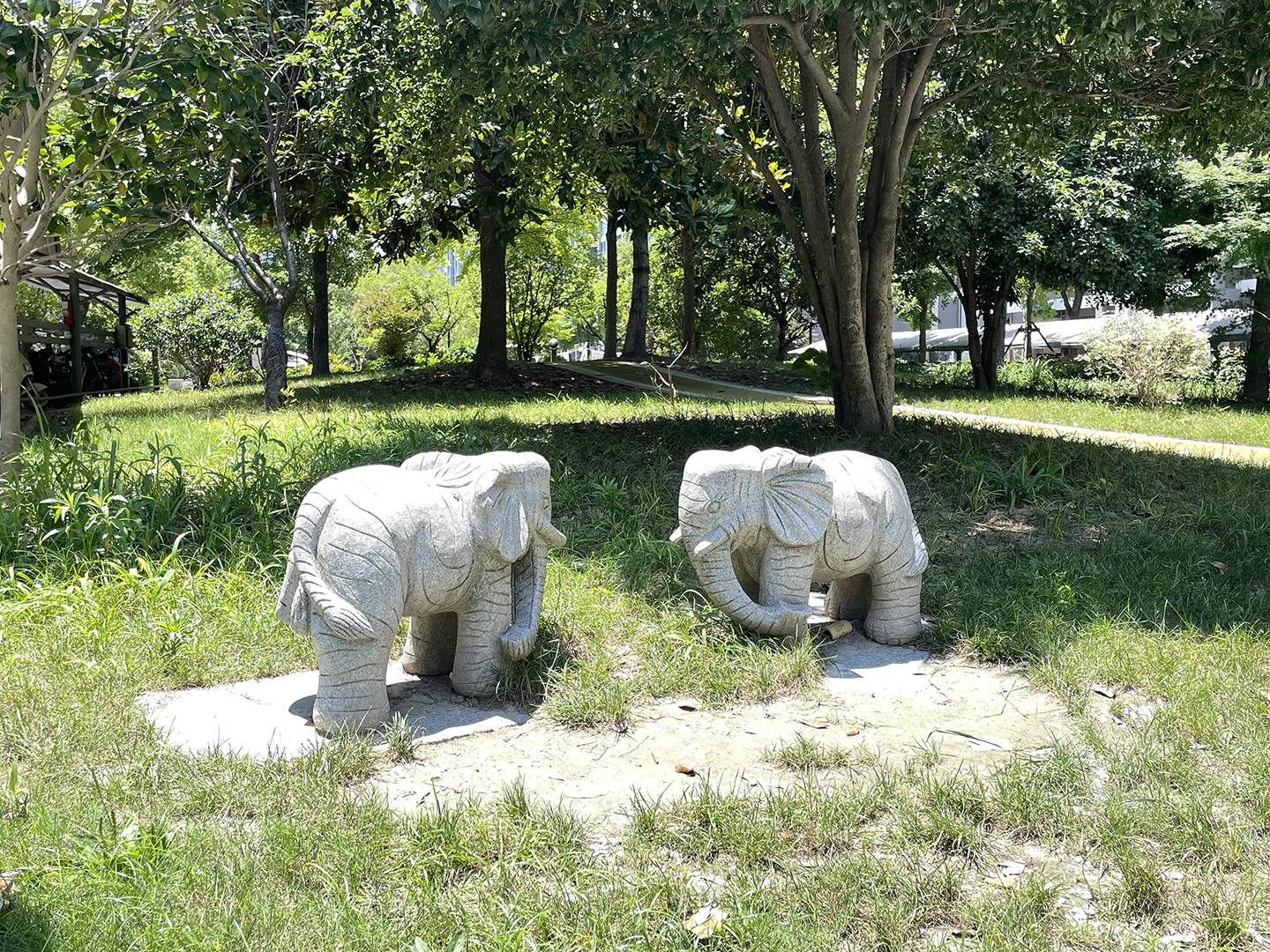 YC South Garden - Photo 18