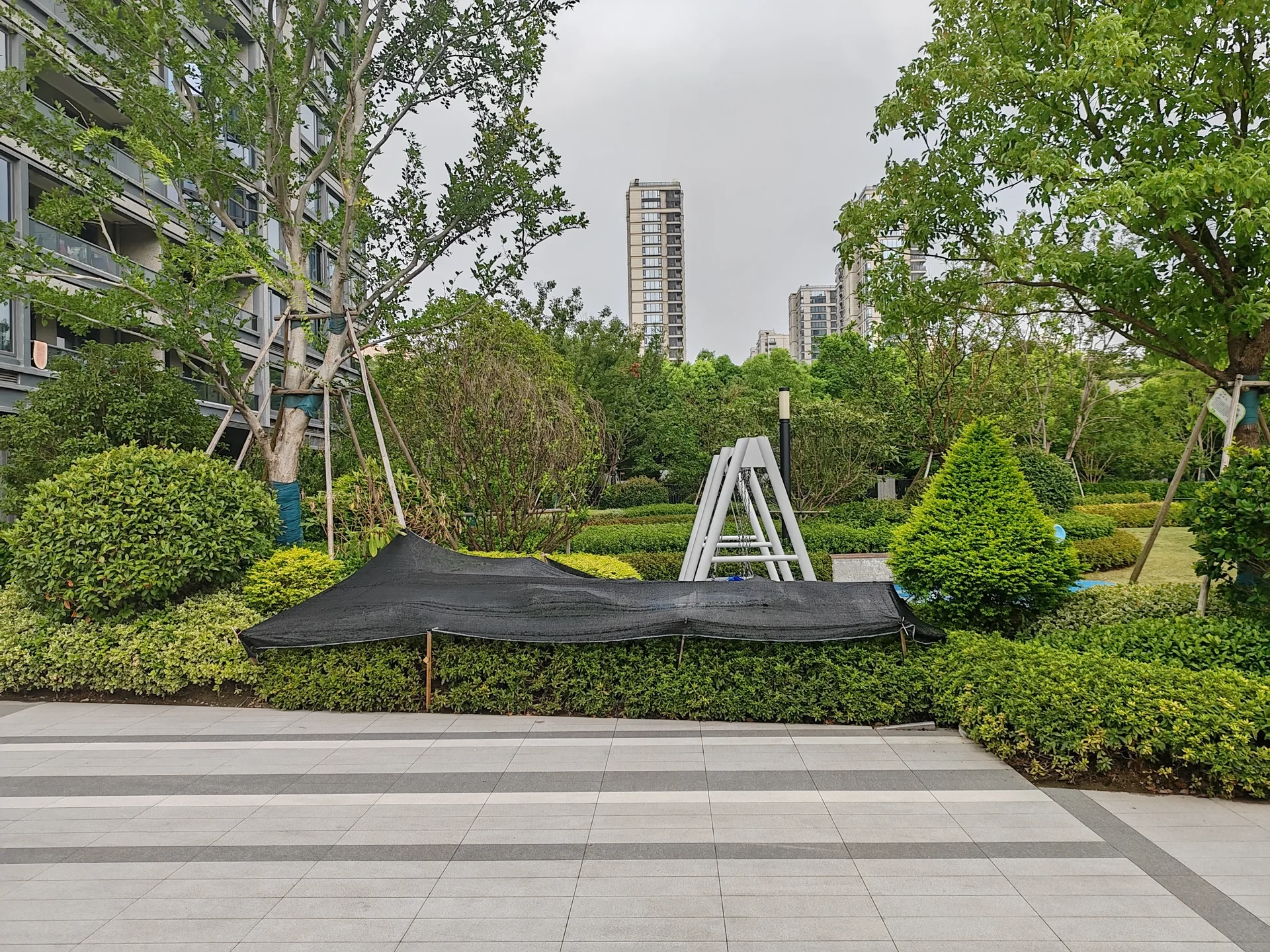 Olin Grace Mansion - Photo 6