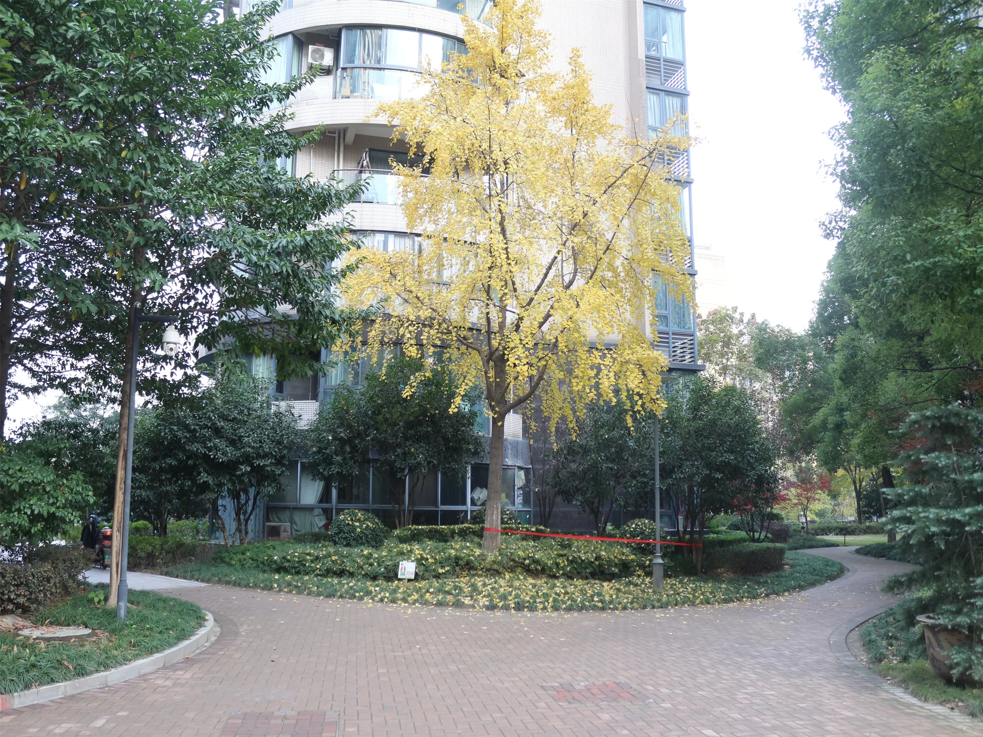 YJ Cultural Garden - Photo 14