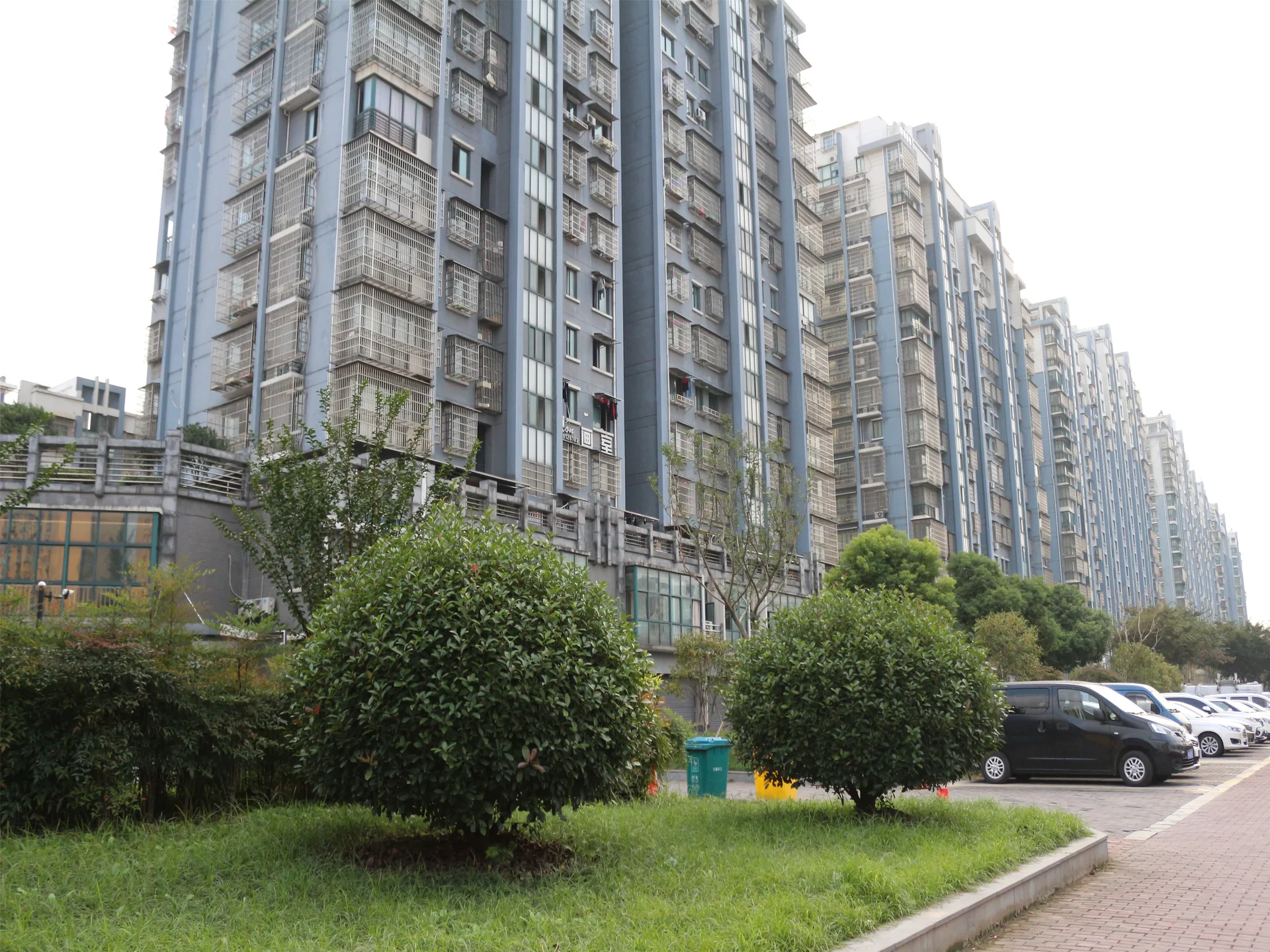 YC South Garden - Photo 7