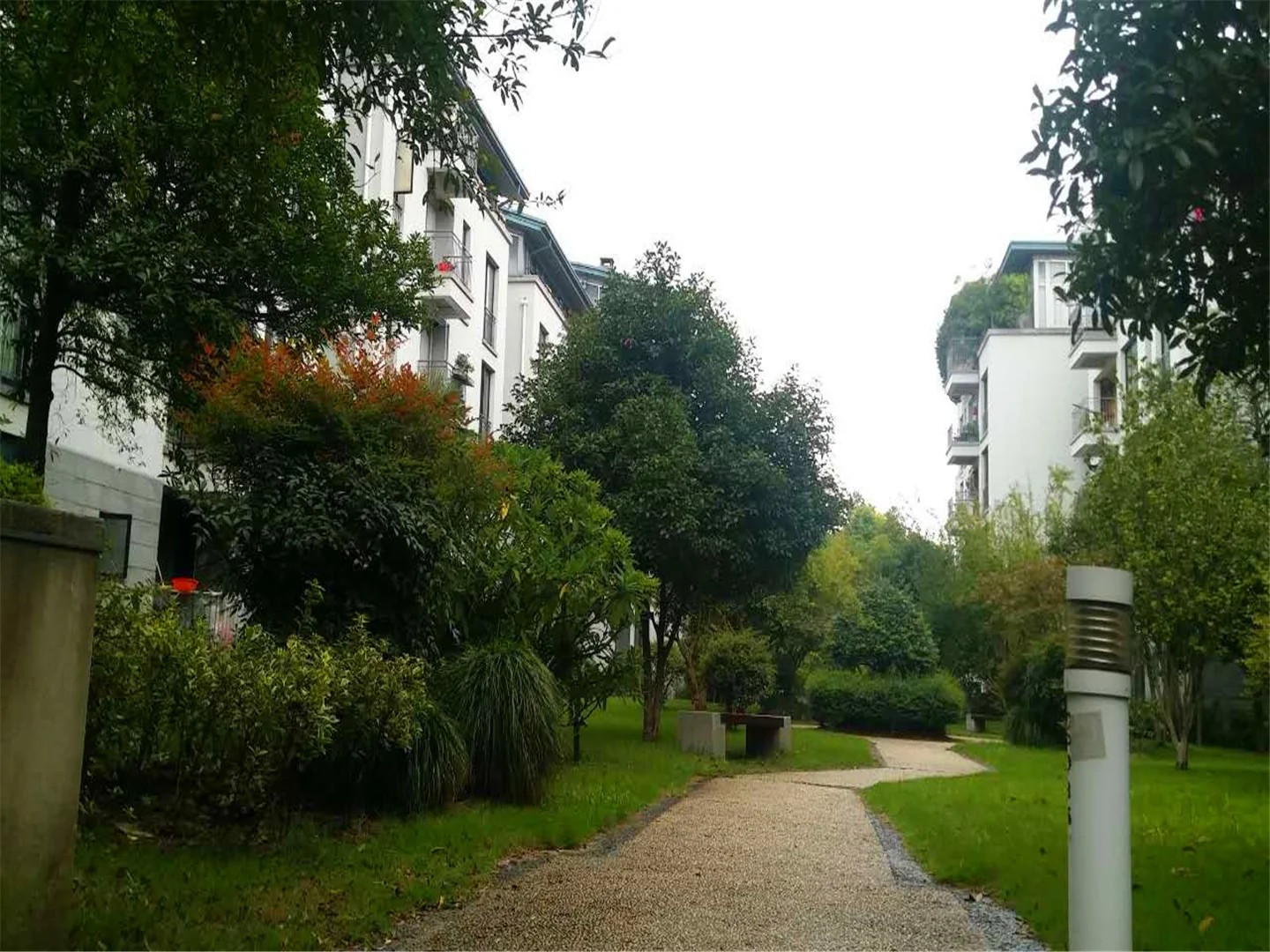 Jiangbin Garden - Photo 29