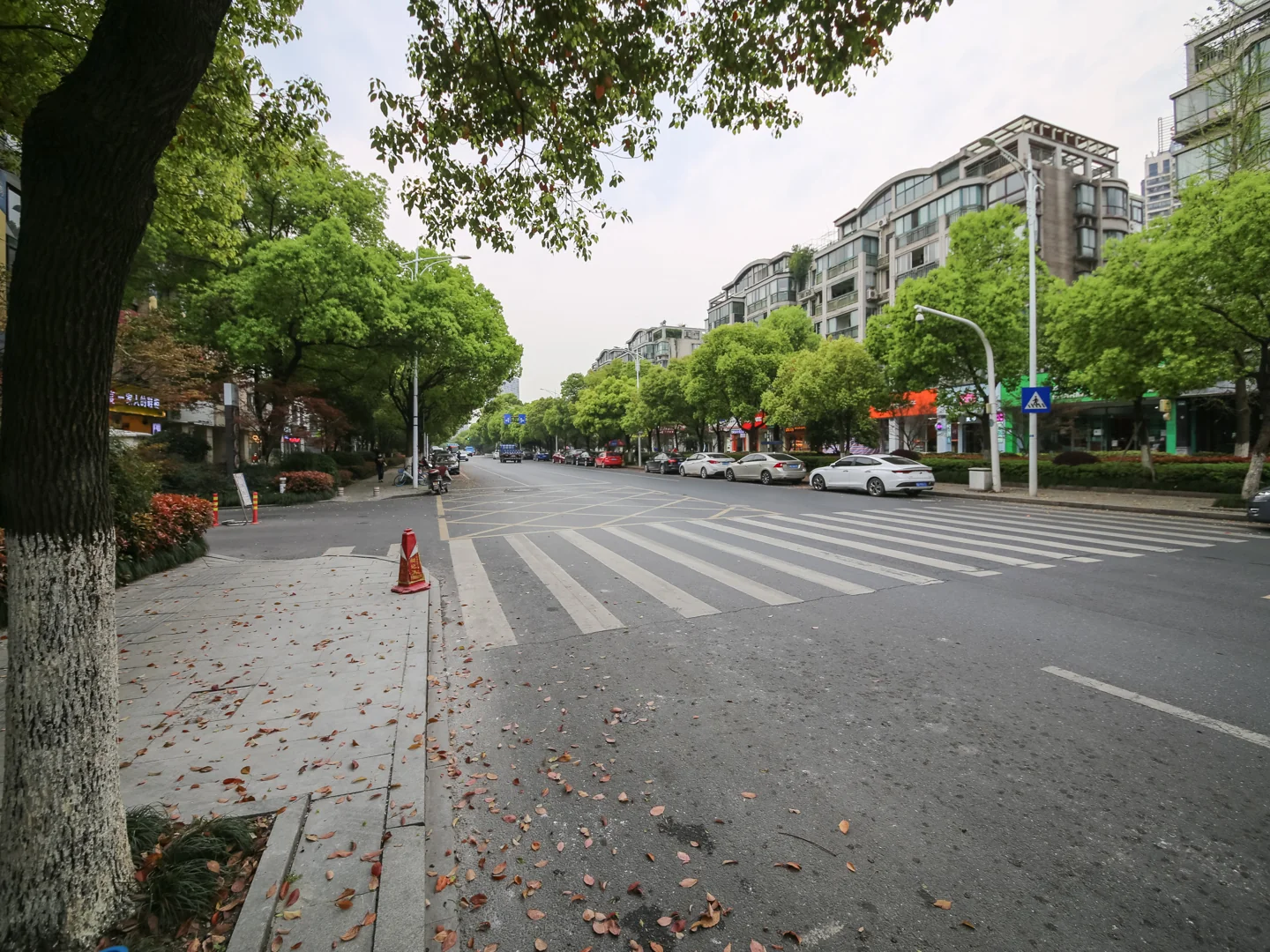 Jiangbin Garden - Photo 33