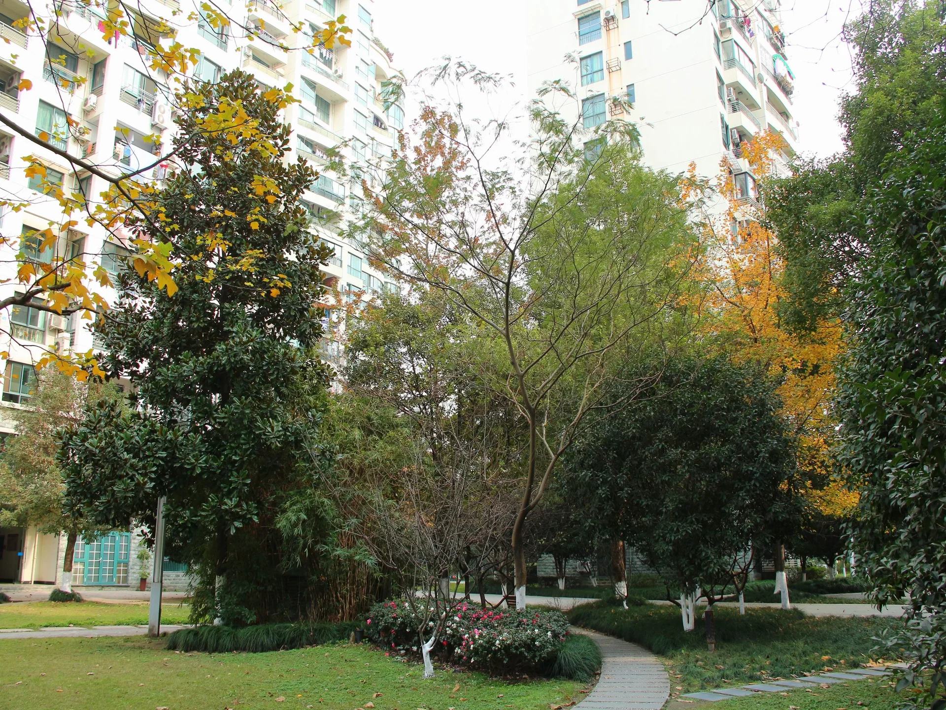 City Inner Peace - Photo 12