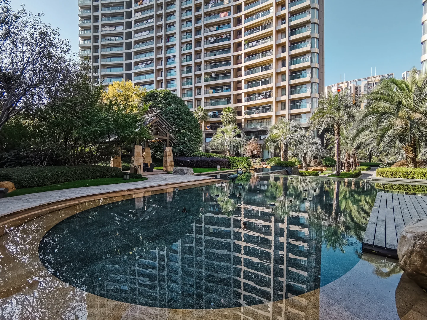 The Dreamland - Photo 14