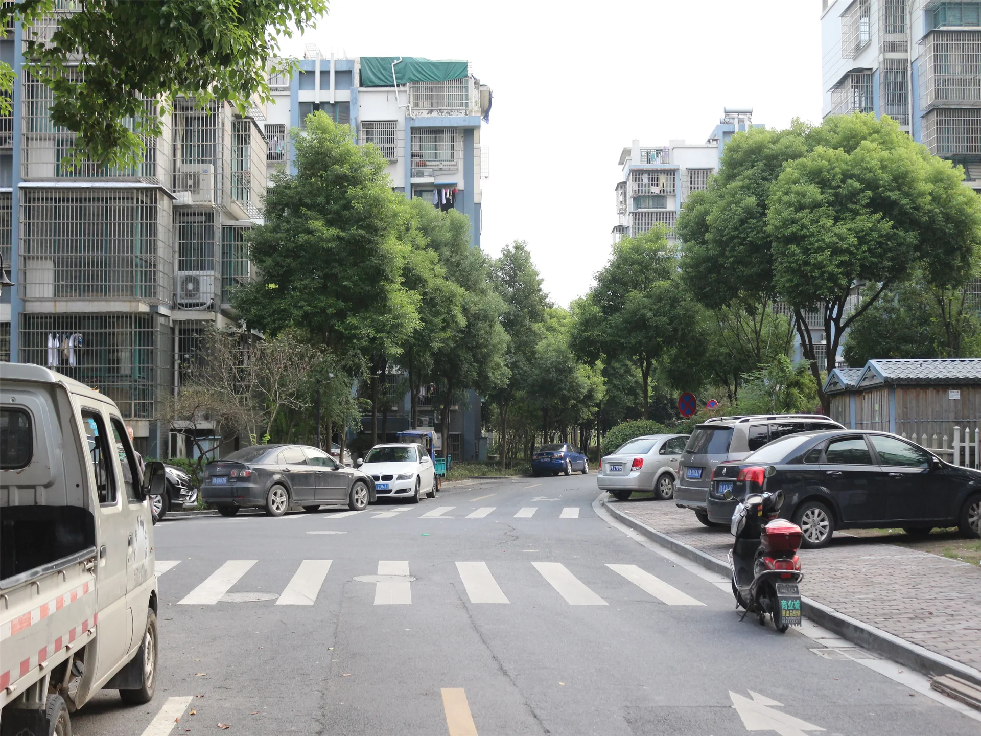 YC South Garden - Photo 15