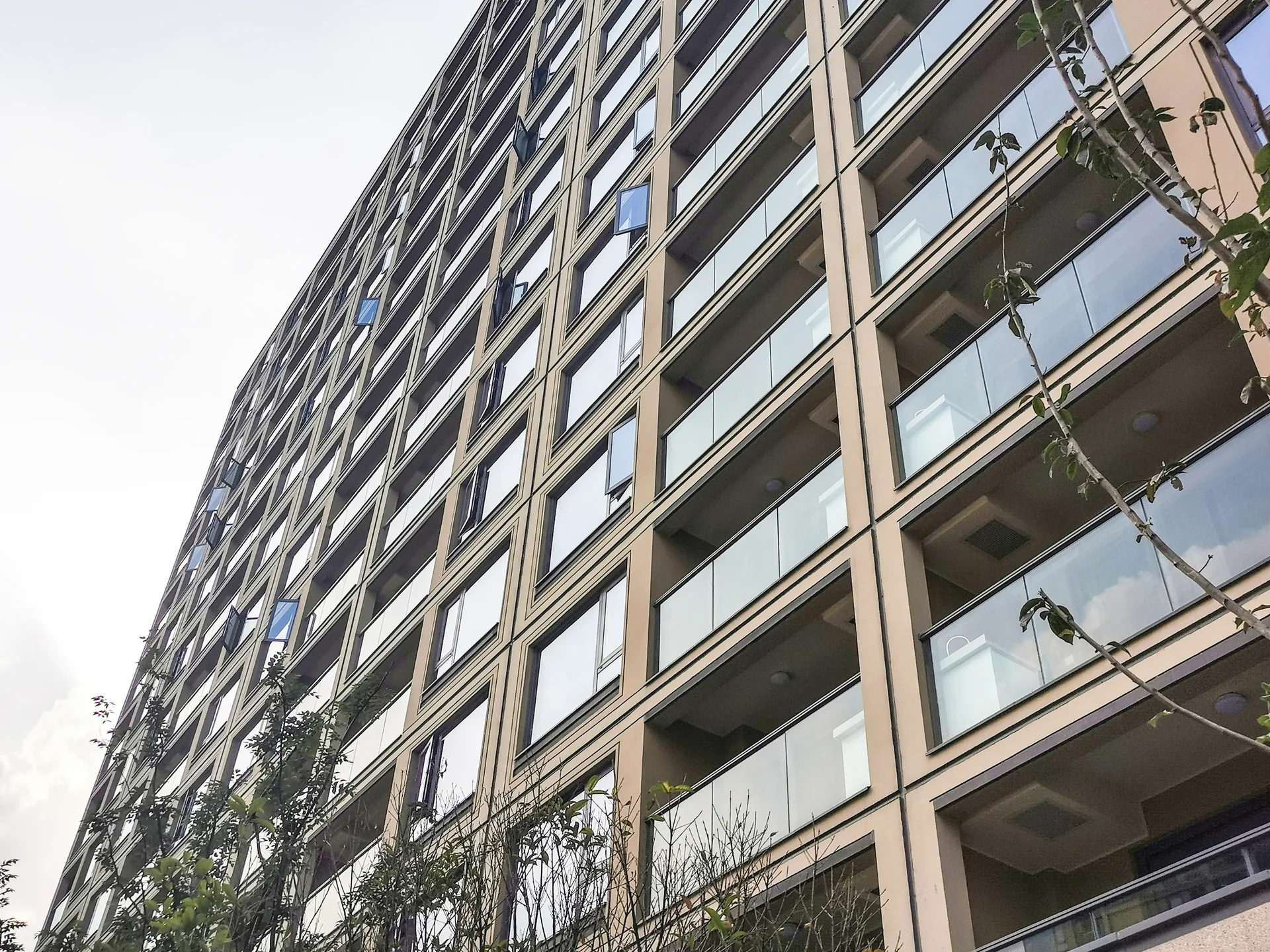 Greentown Willow Garden - Photo 5