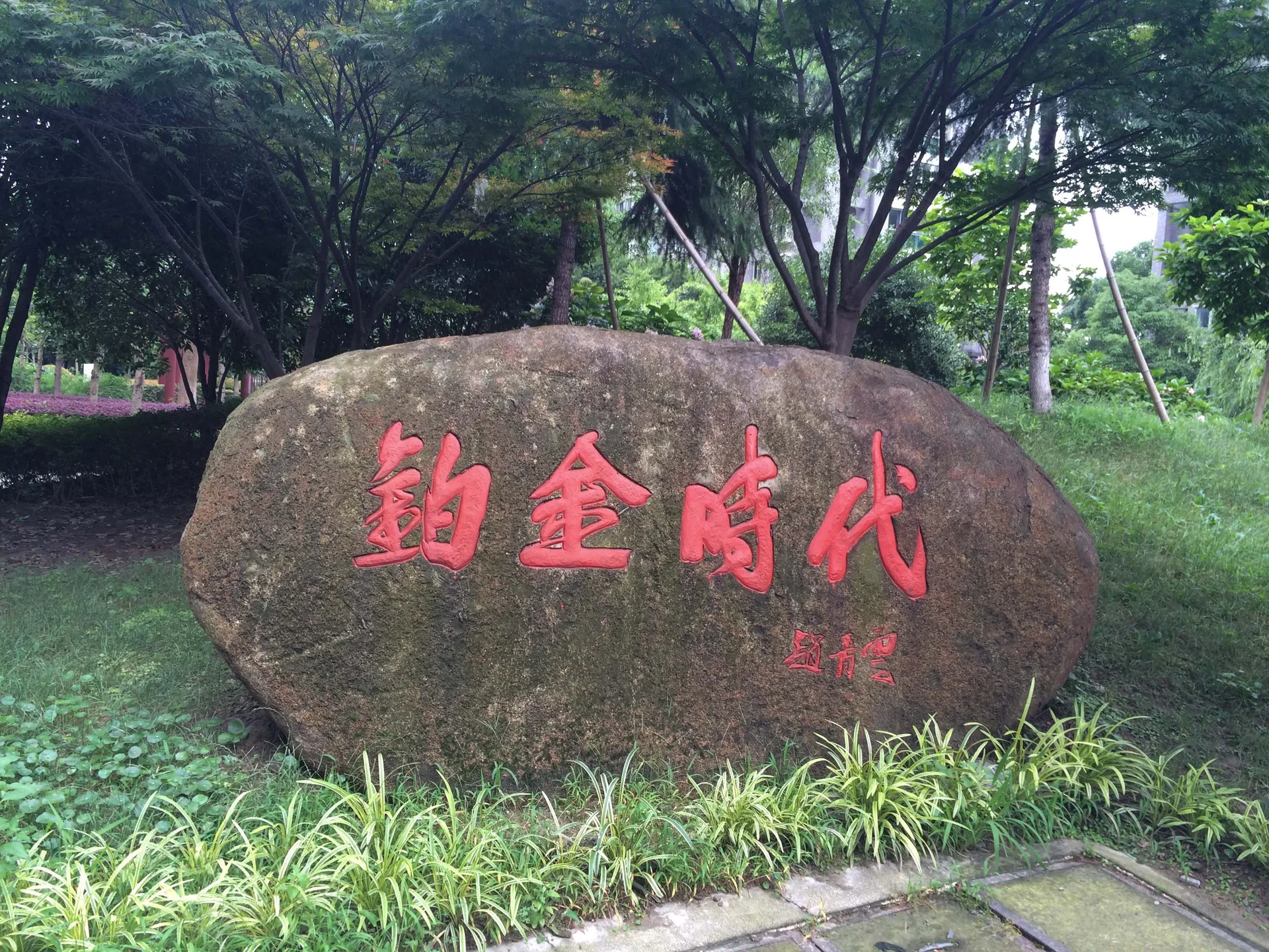 Platinum Era - Photo 14