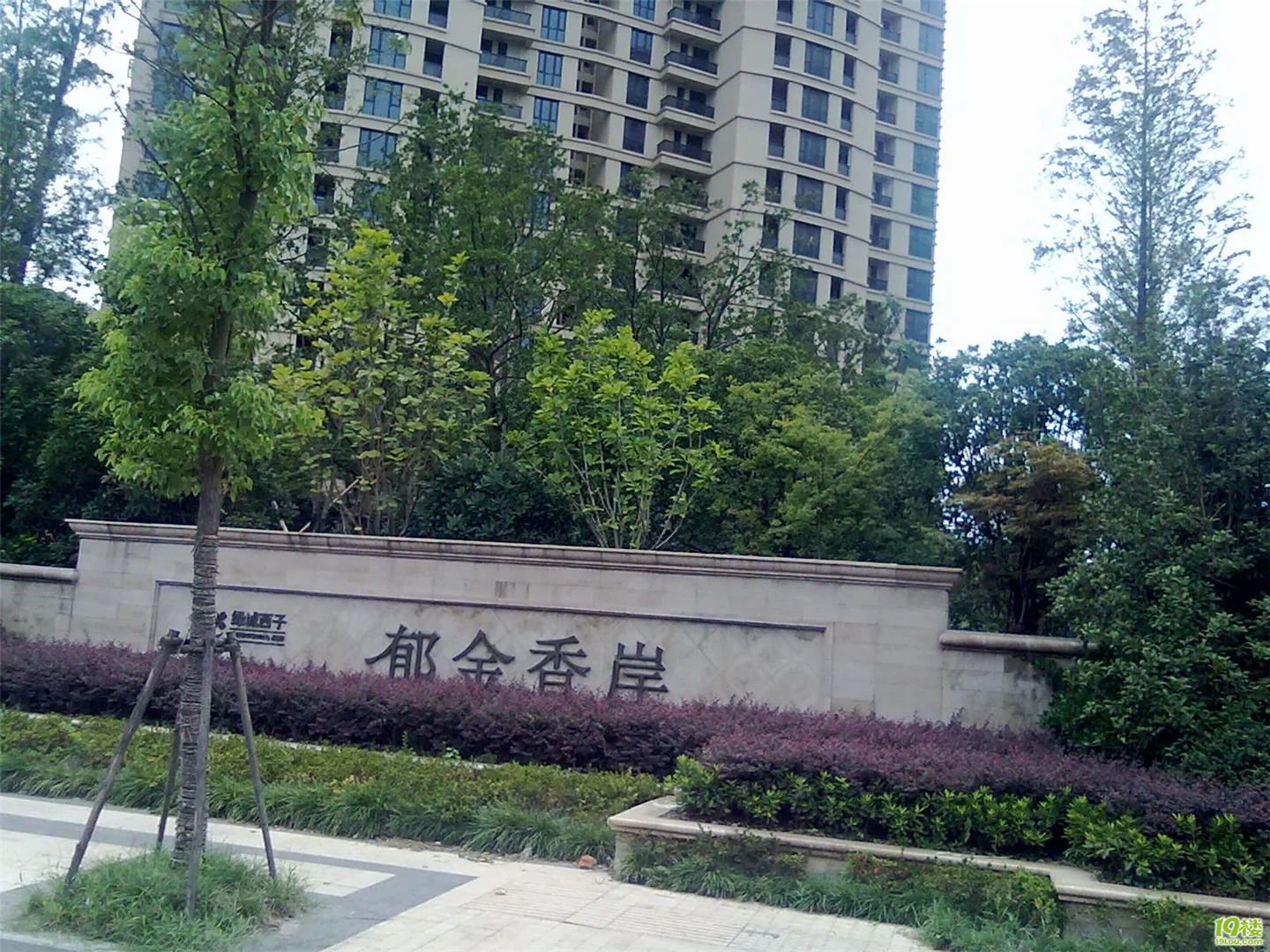 Tulip Shore - Photo 30