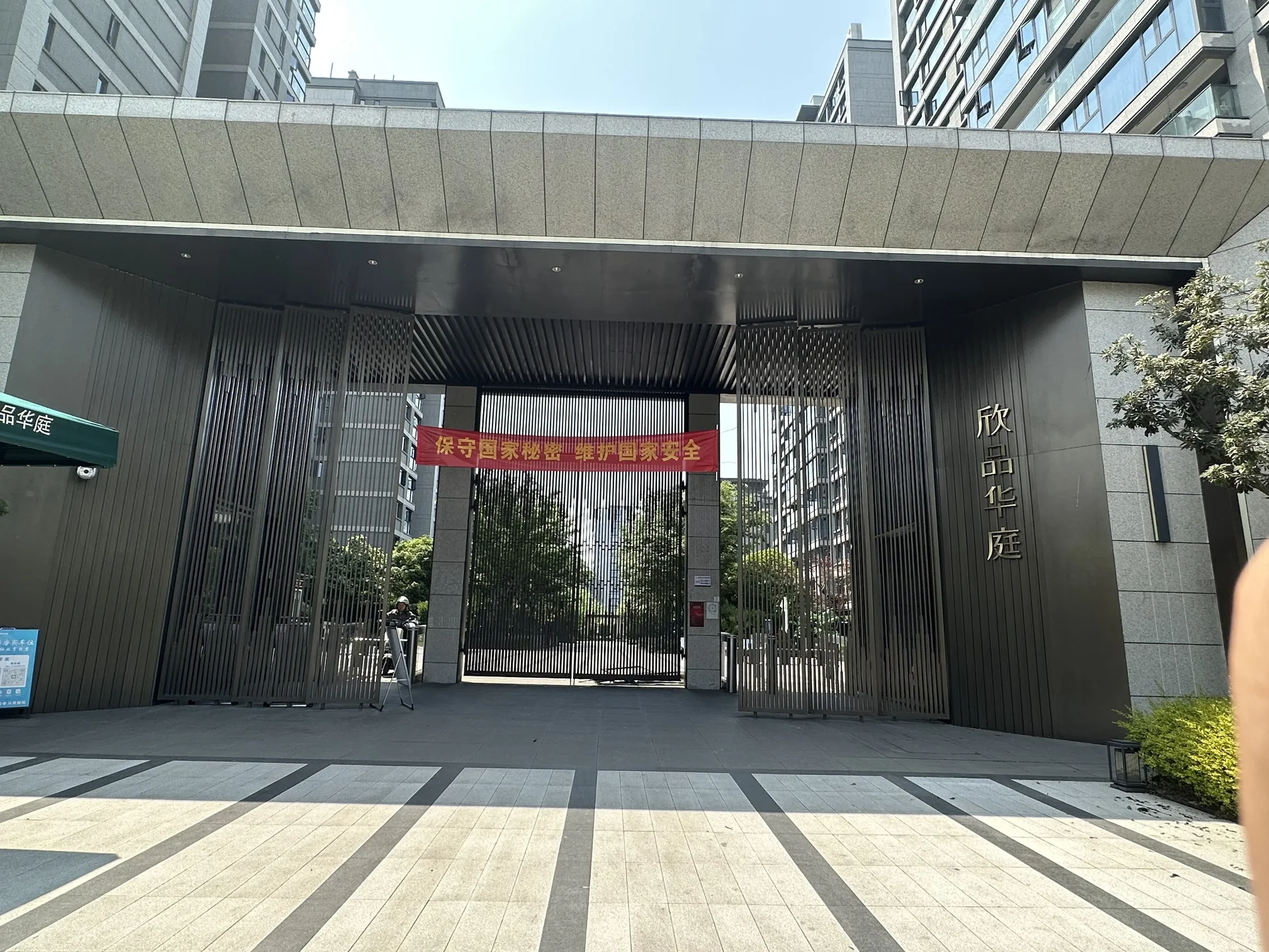 Poly Splendid - Photo 7