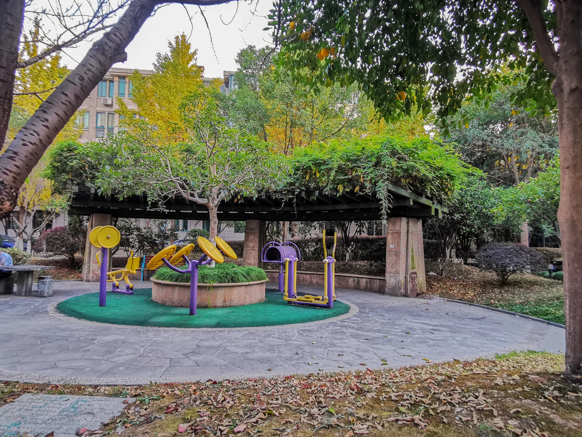 Xixi Rose Garden - Photo 5