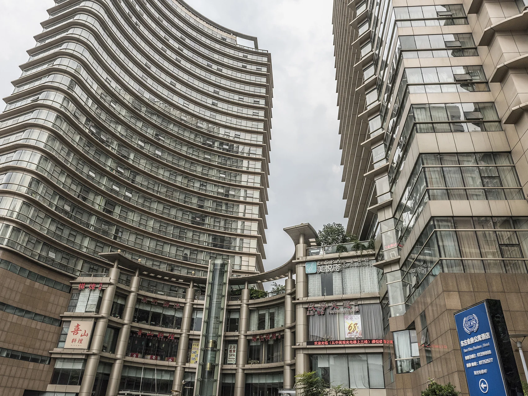 Oriental Golden - Photo 9