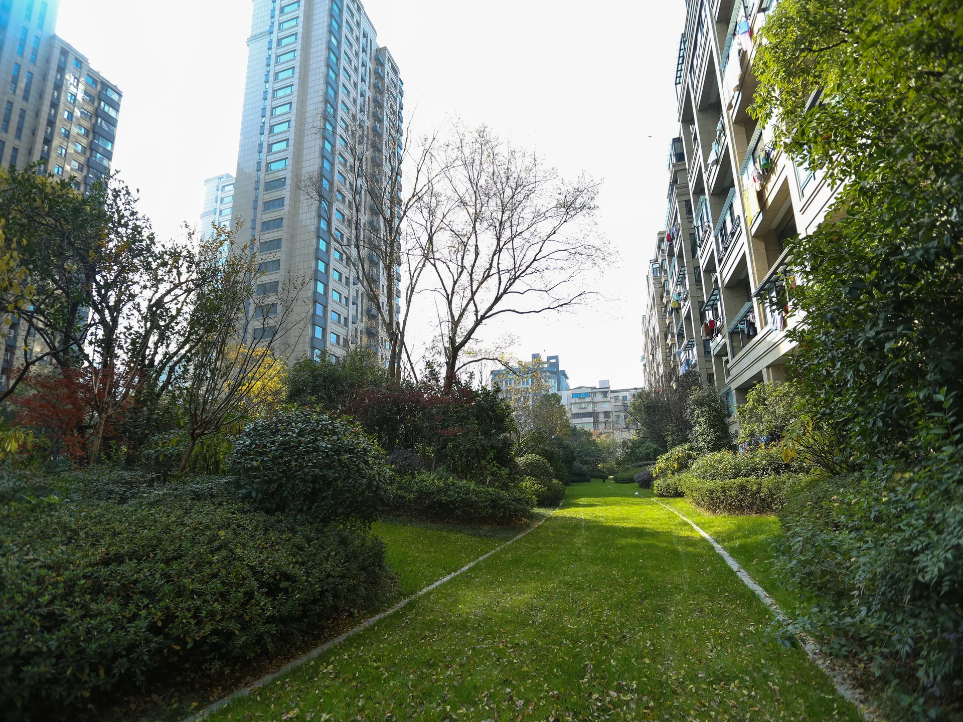 Secluded Residence - Photo 11