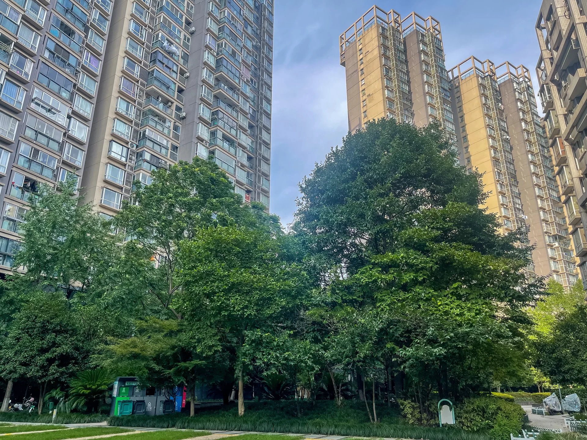 Modern  Garden - Photo 18