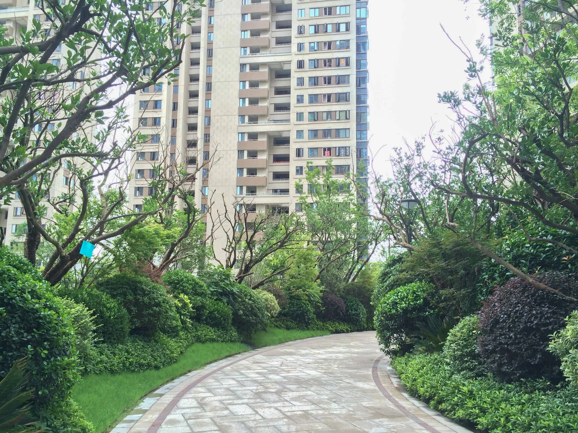 Lemon Waterfront Spring - Photo 11