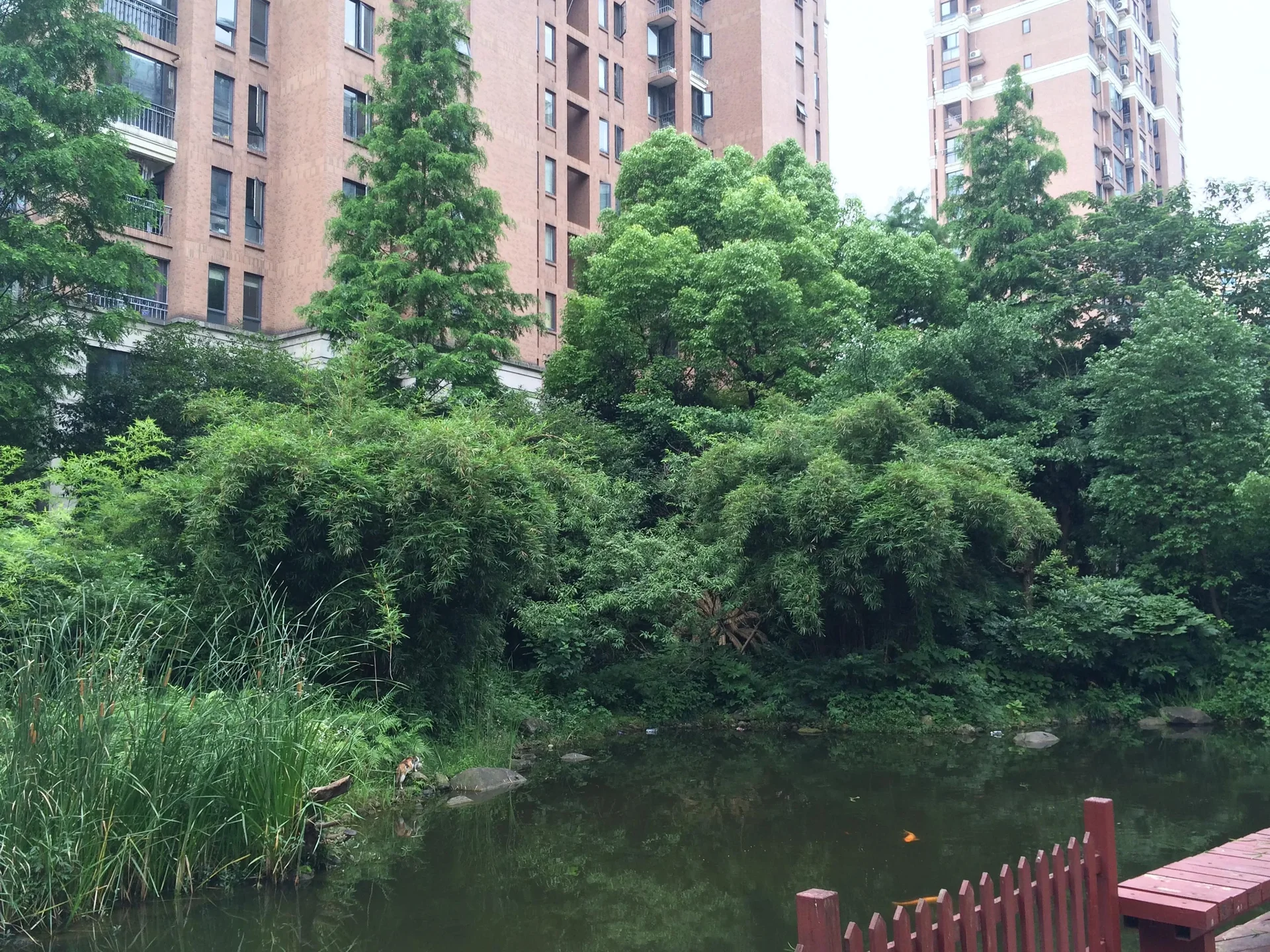 Platinum Shores - Photo 22