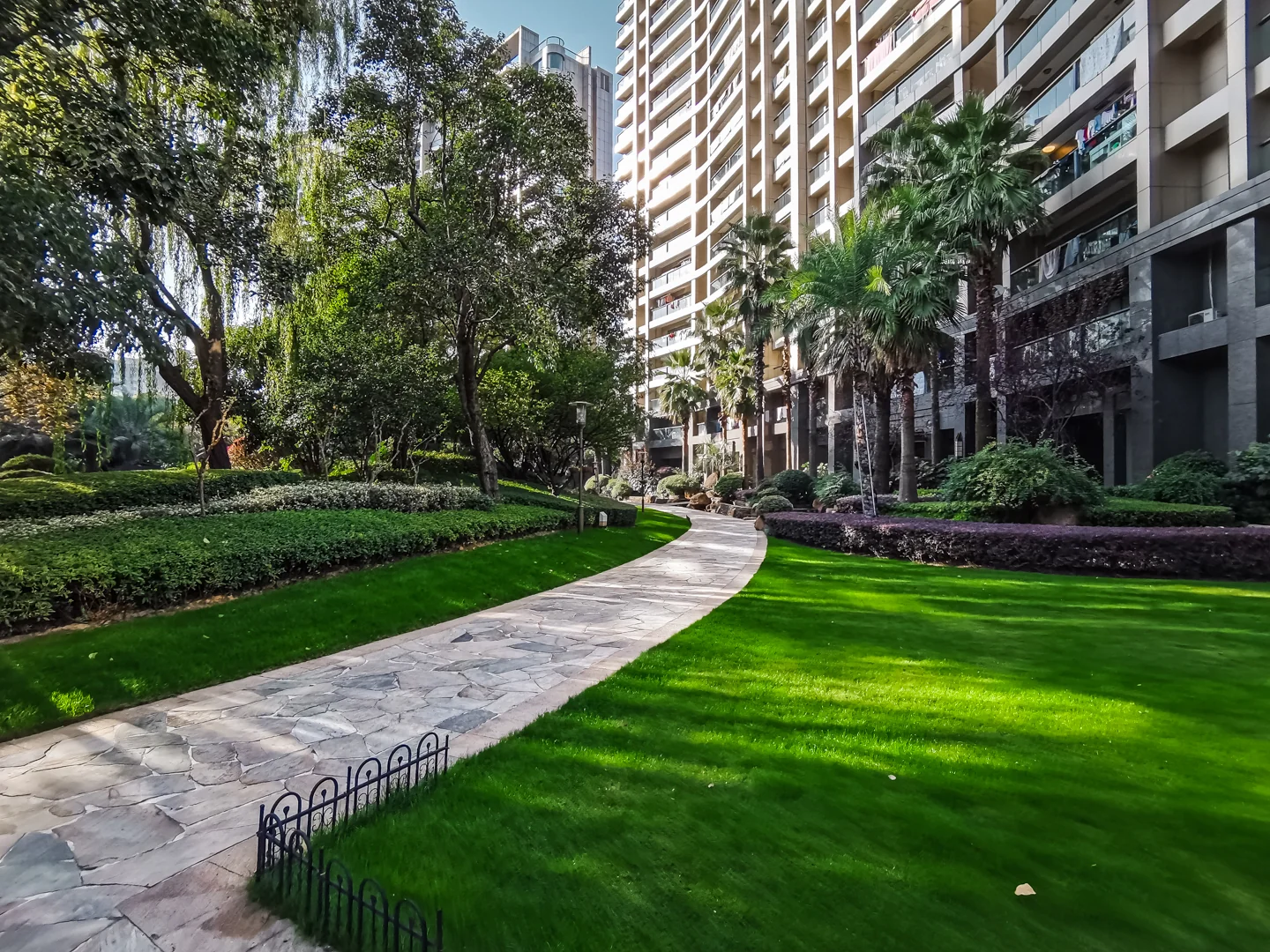 The Dreamland - Photo 21