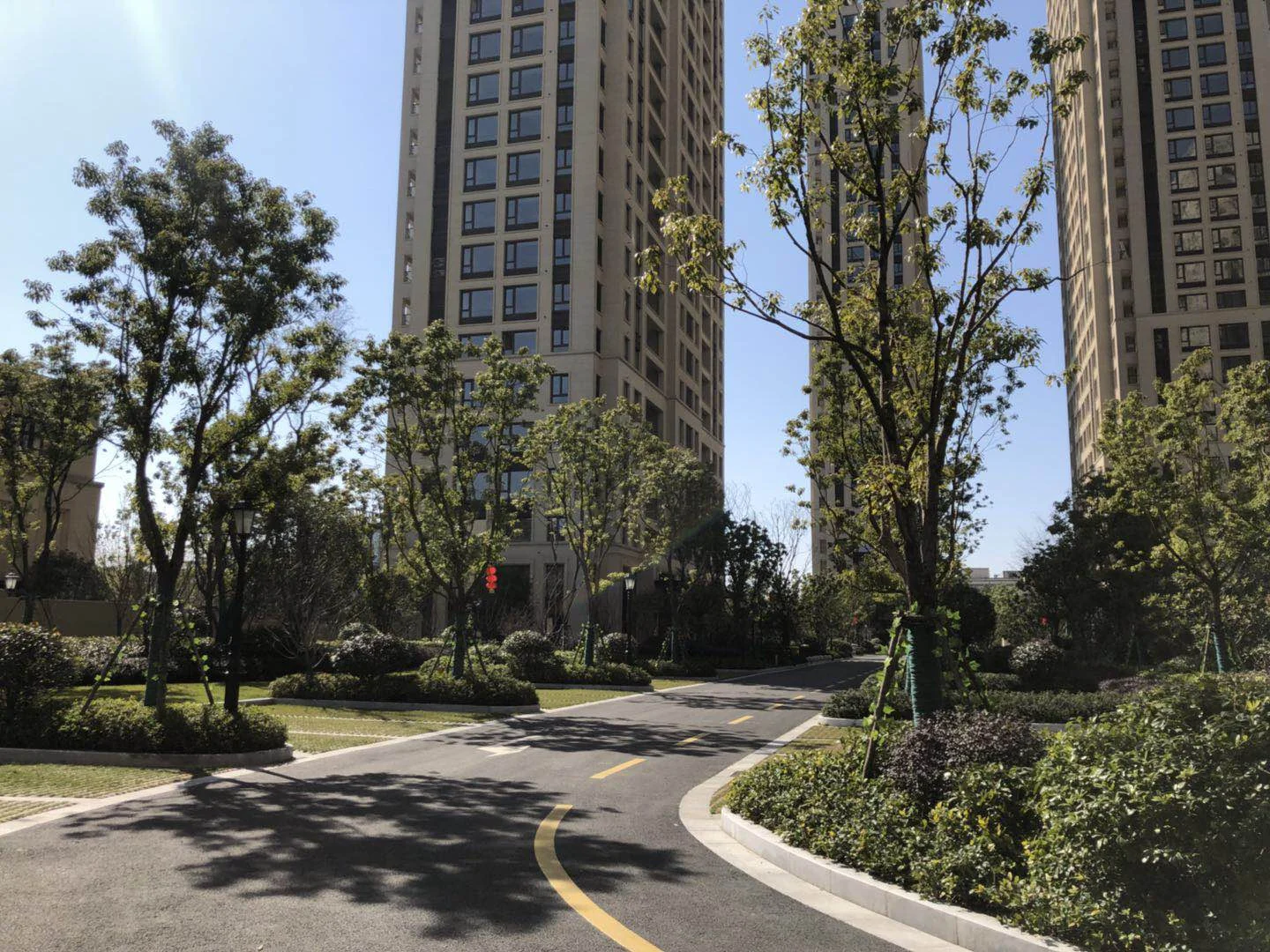 Golden Dawn Light - Photo 5