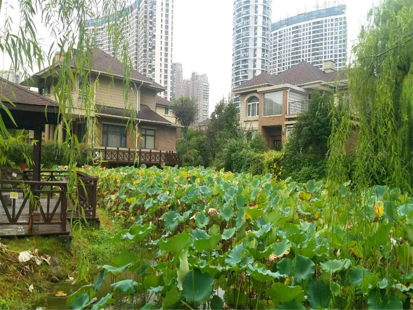 Guoxin Joy Garden - Photo 18