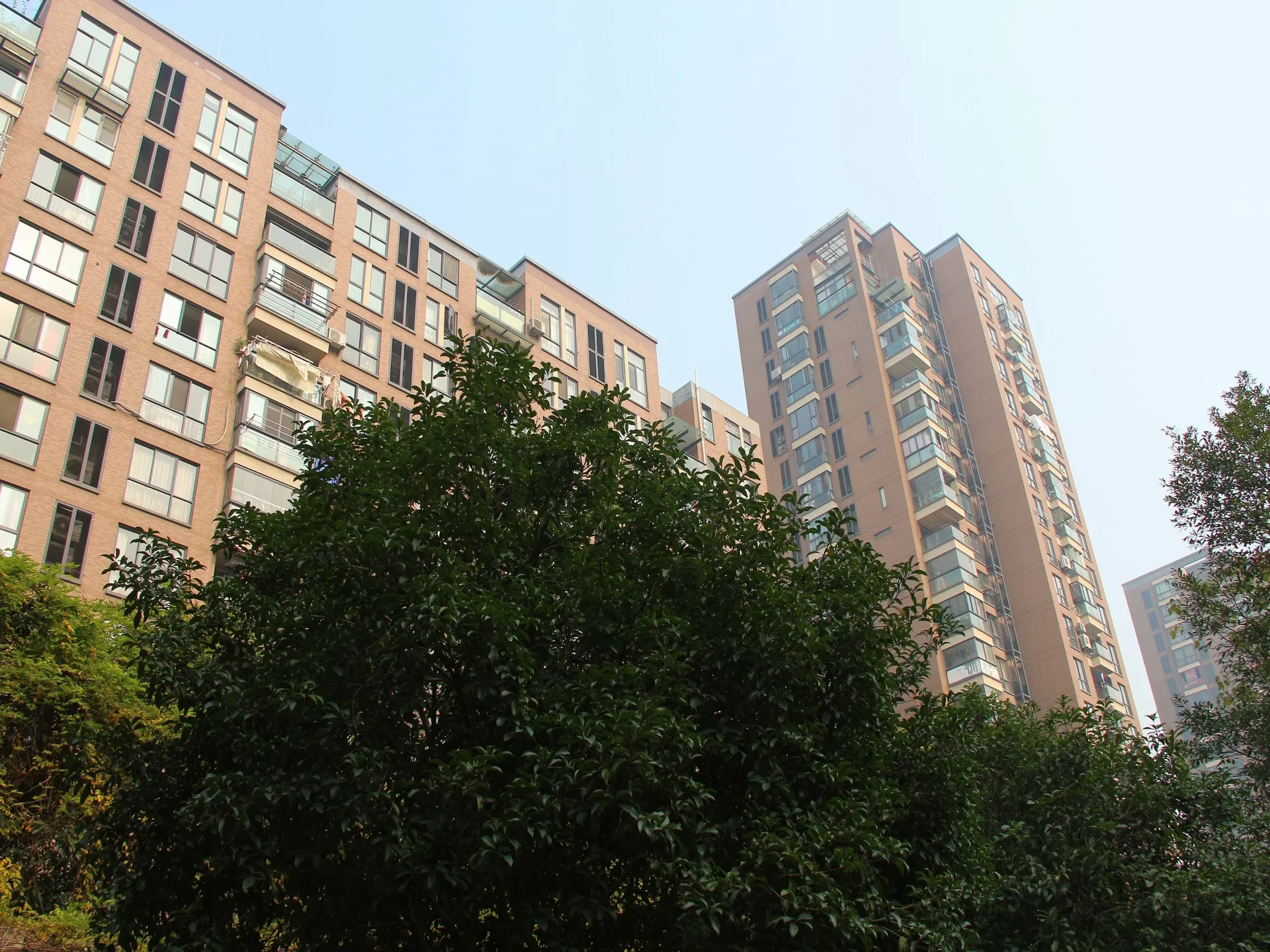 New Century City - Photo 9