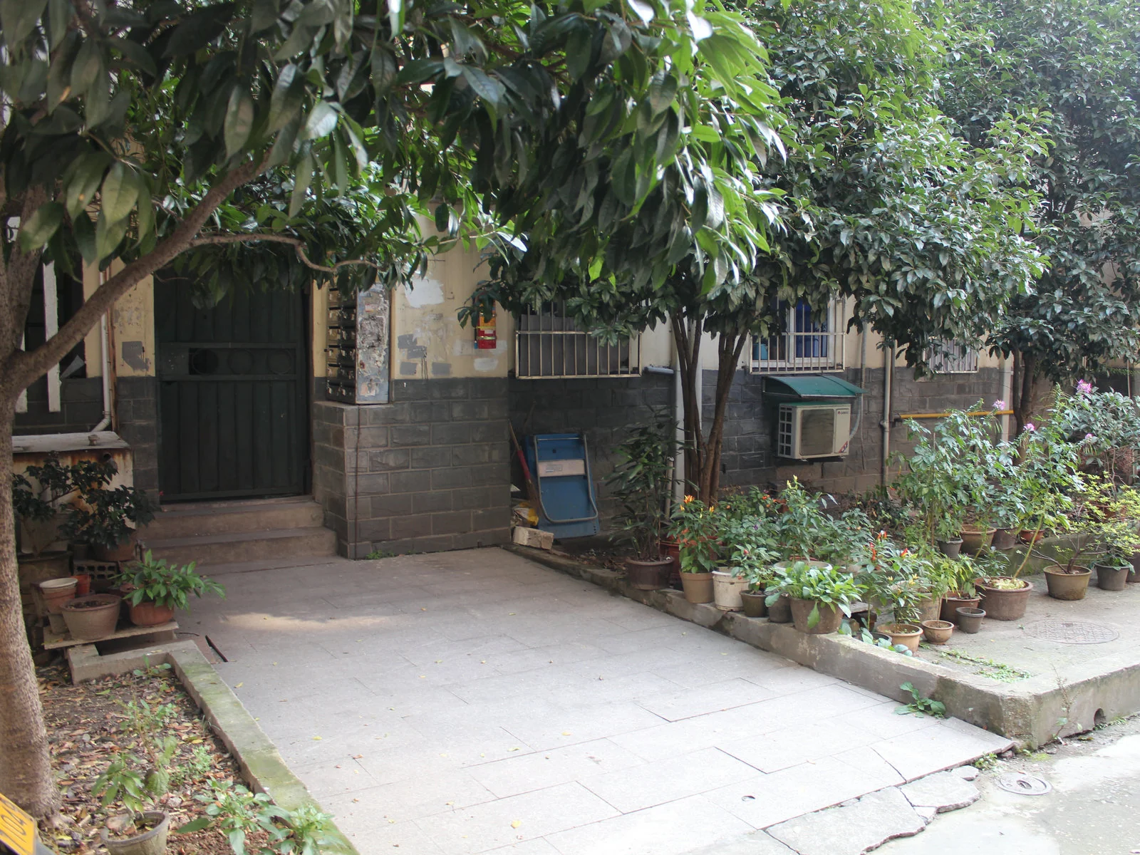 Sunshine  Village - Photo 18