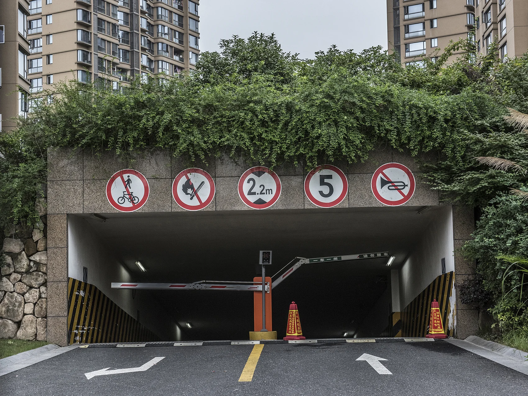 Maple Elegance East - Photo 19