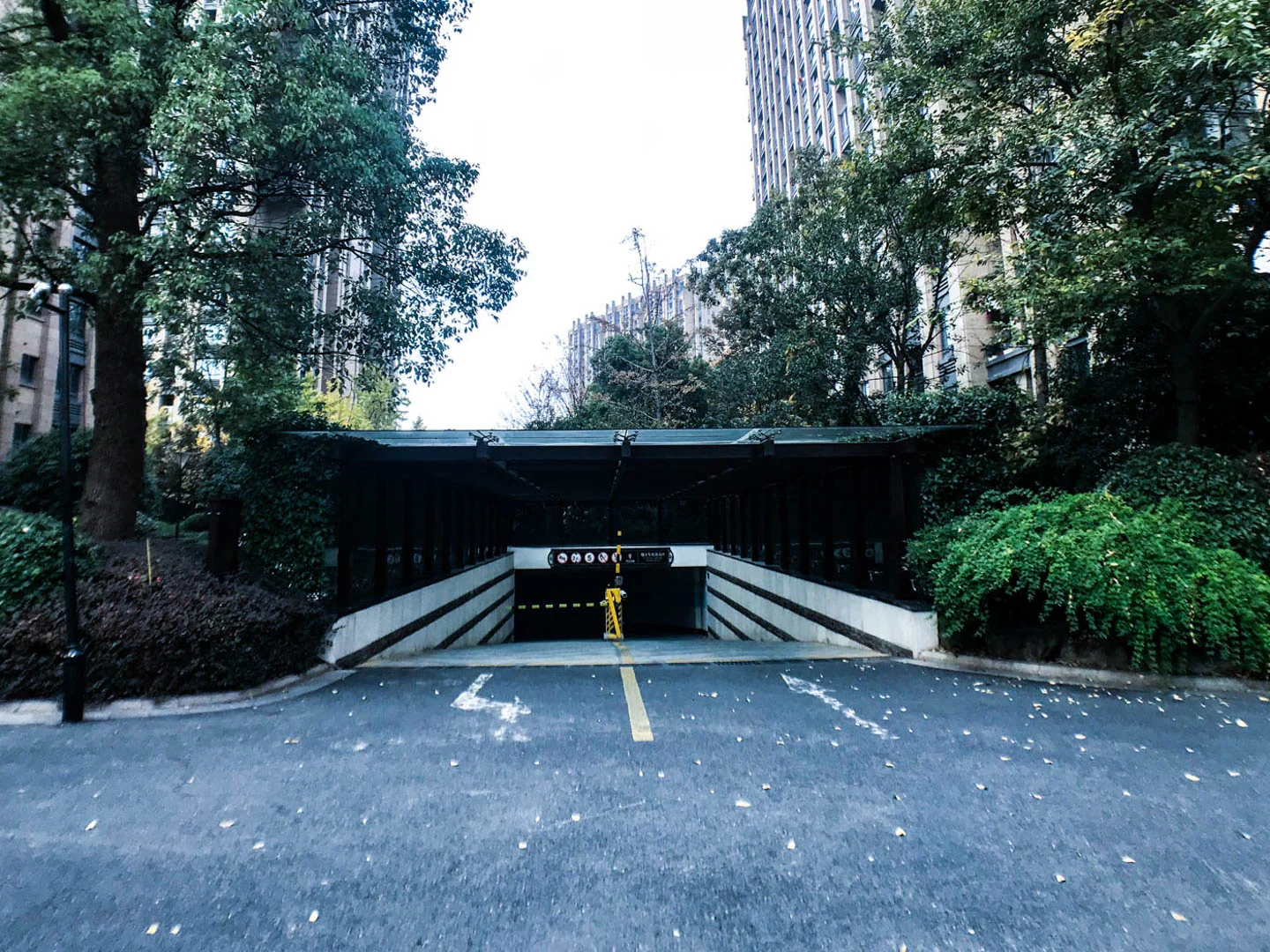 Lucky Peninsula - Photo 22