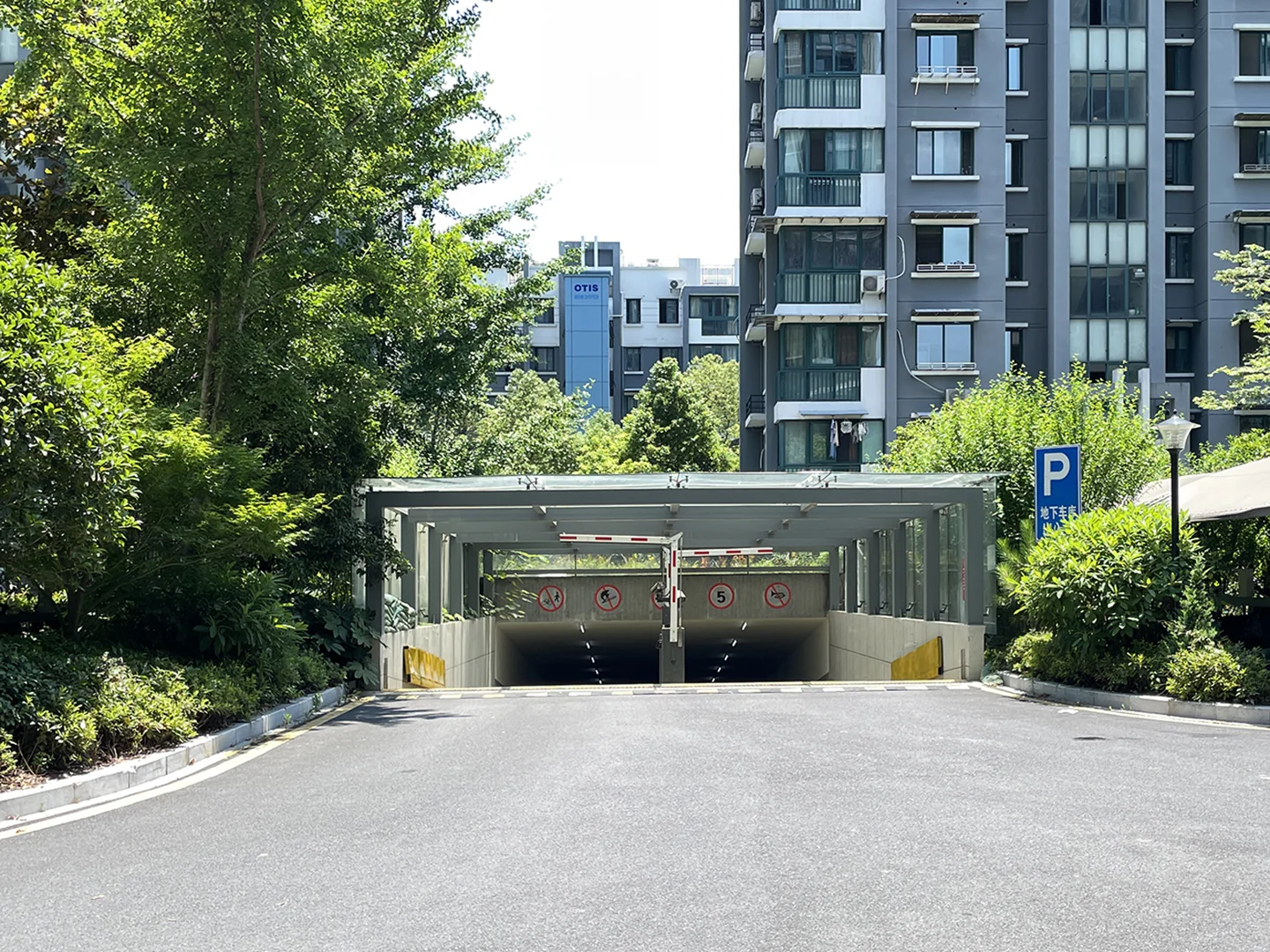 YC South Garden - Photo 31