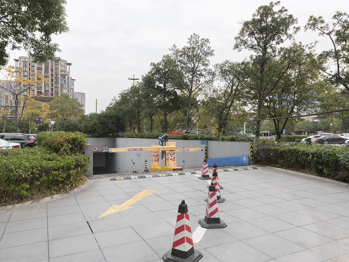 Fashion Blue Bay - Photo 13