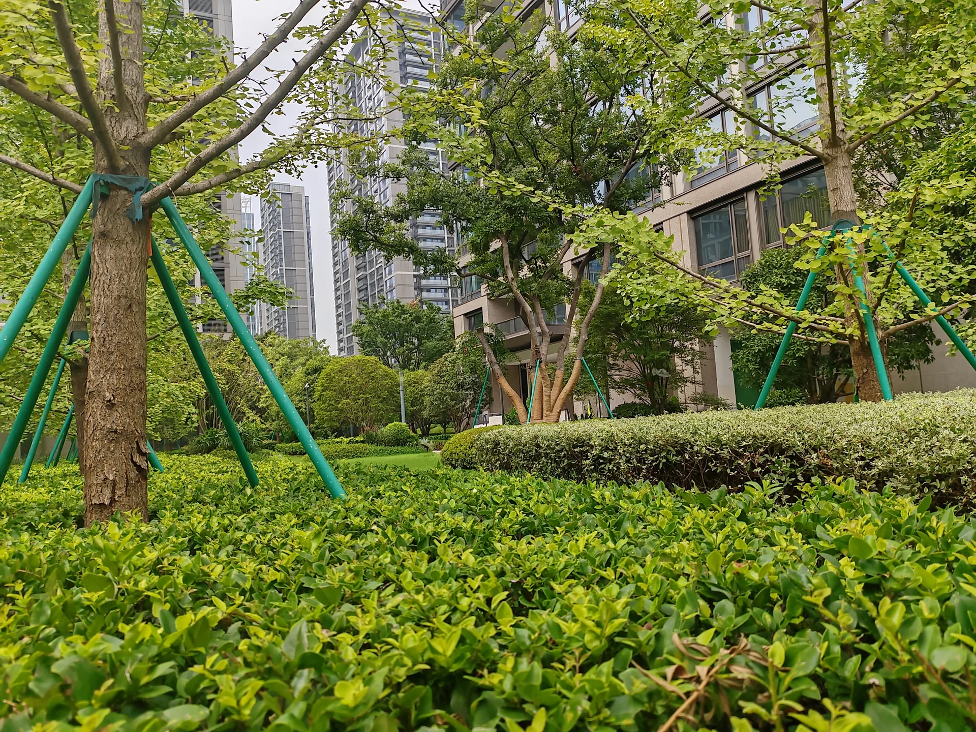 Century City South - Photo 4