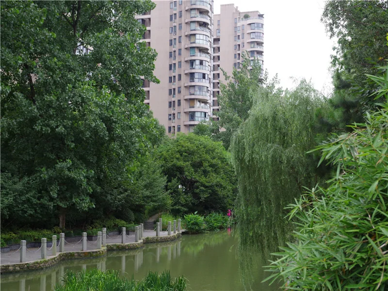 YJ Cultural Garden - Photo 30