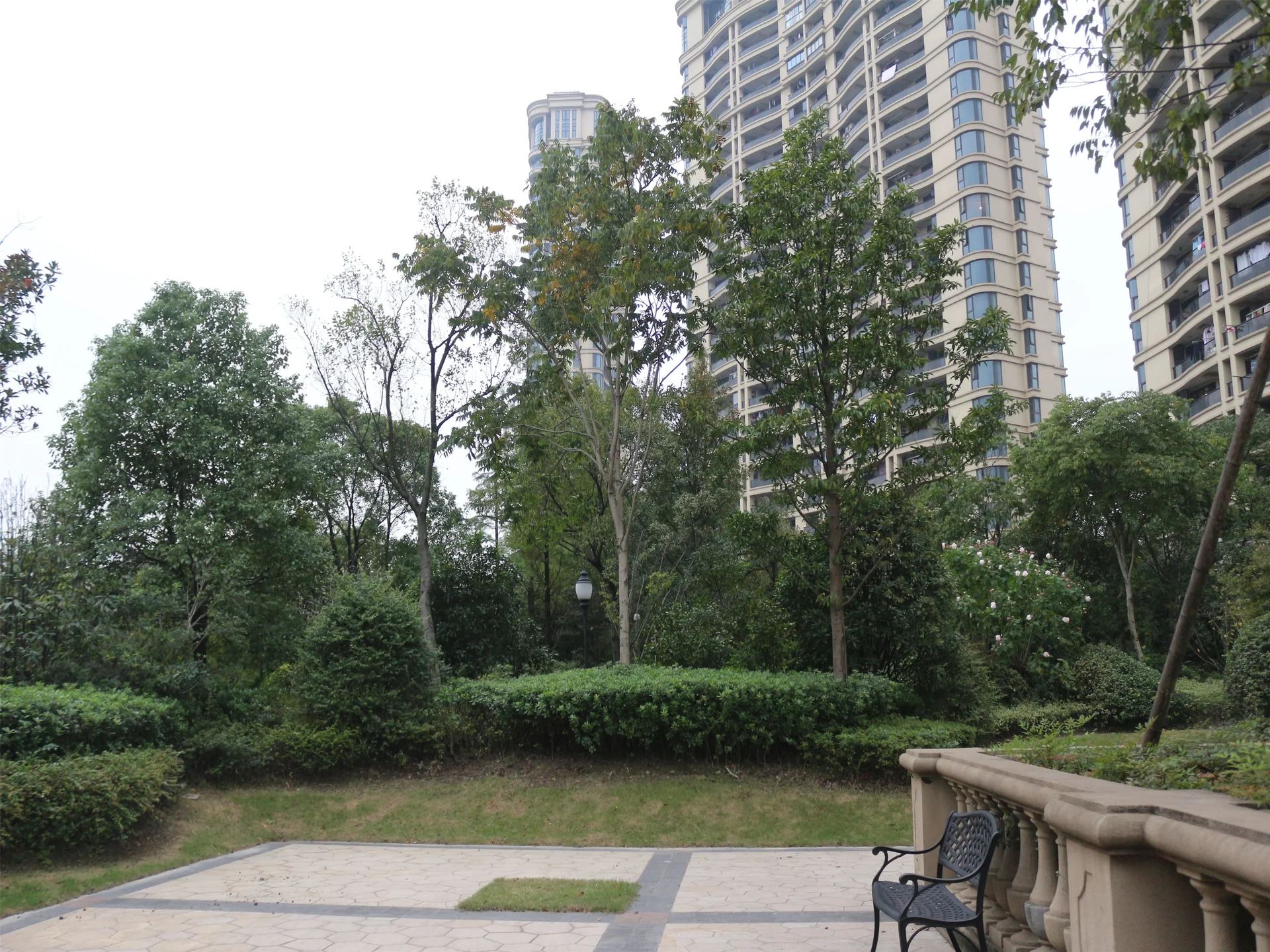 Tulip Shore - Photo 23