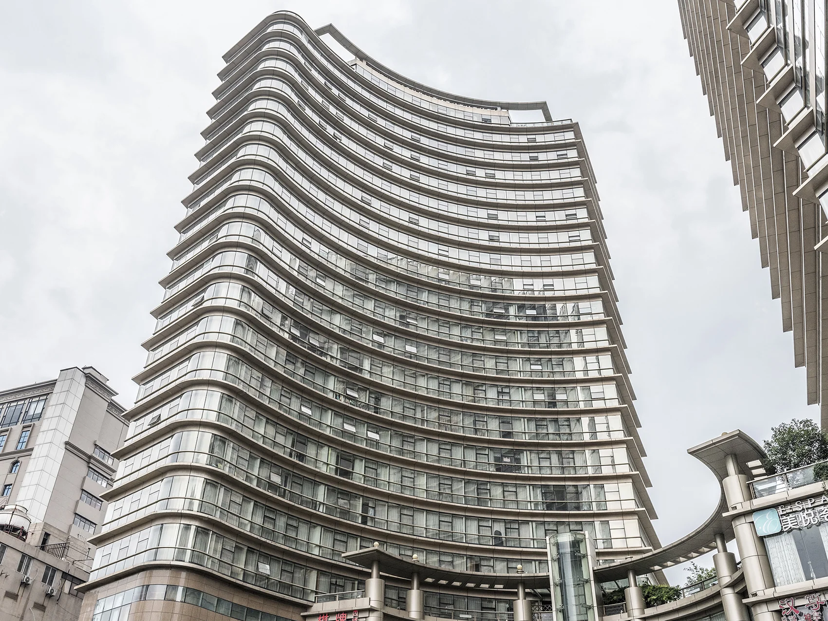 Oriental Golden - Photo 4