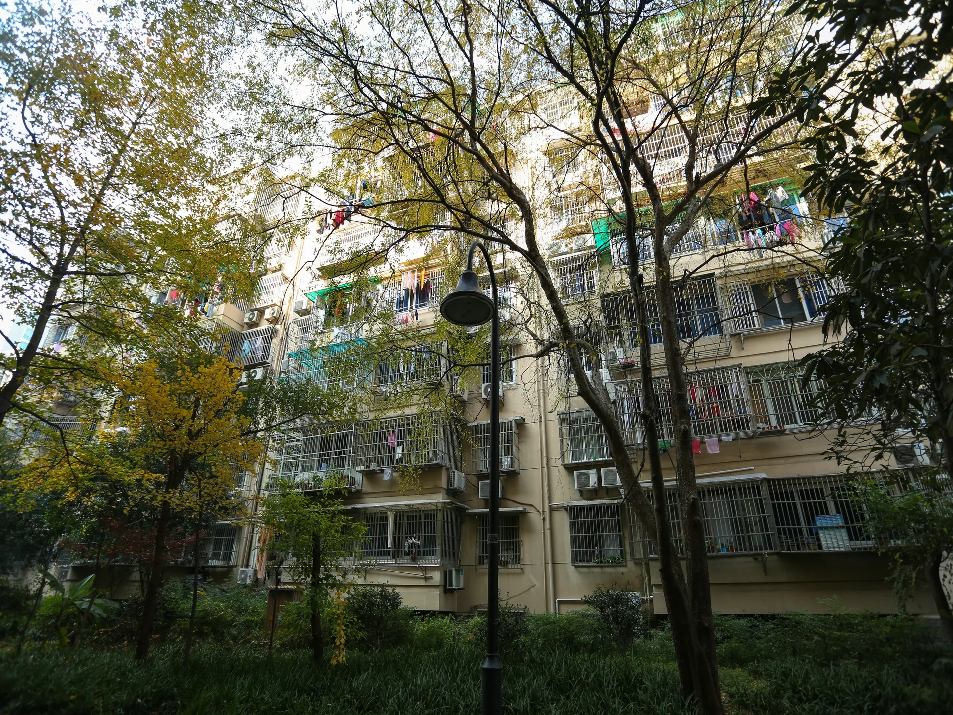  Shiyuan New Village - Photo 8