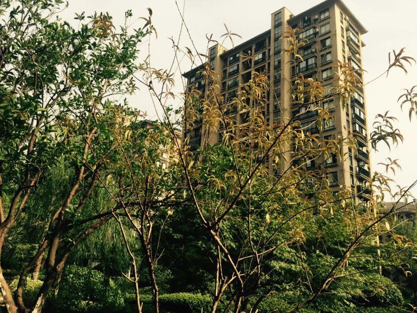 Jiangnan Moka - Photo 22