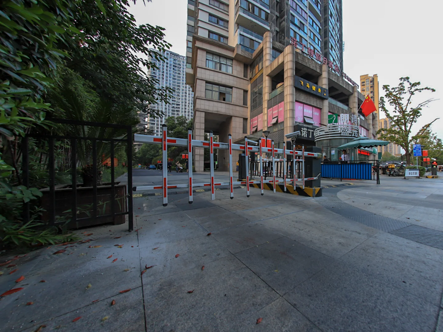 Wisdom World - Photo 16