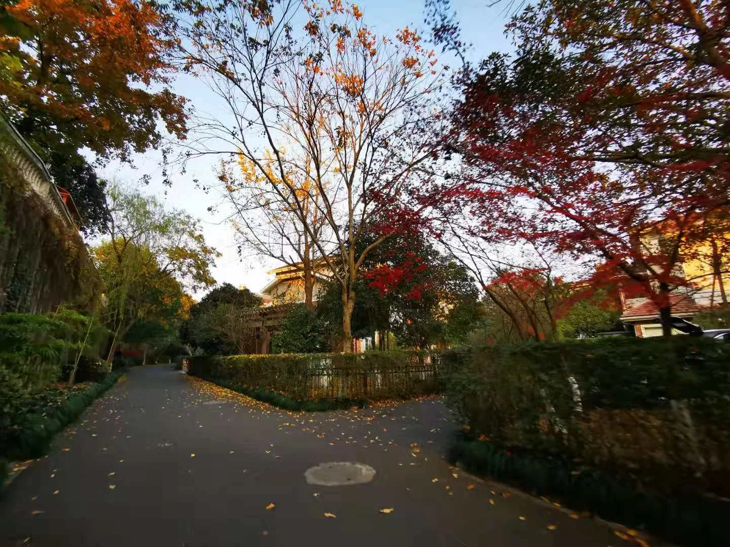 The Moon Bay - Photo 29