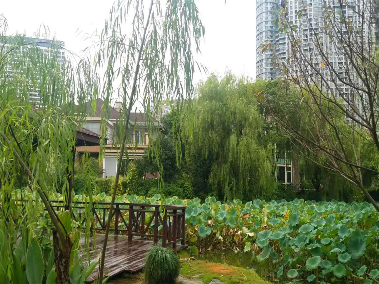 Guoxin Joy Garden - Photo 19