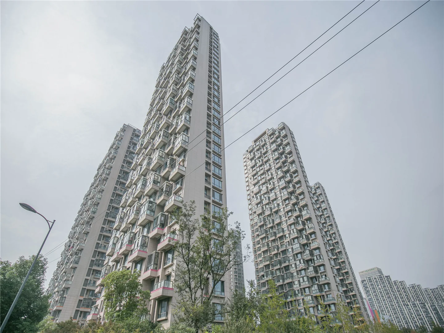 Echo Garden - Photo 7