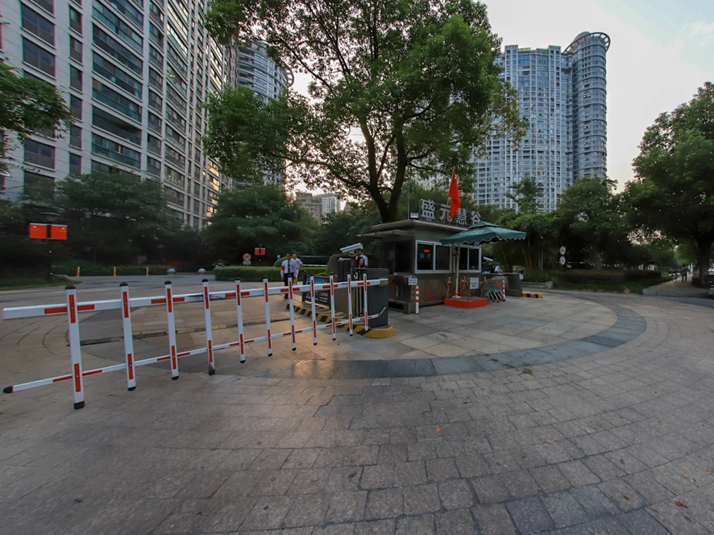 Wisdom World - Photo 18