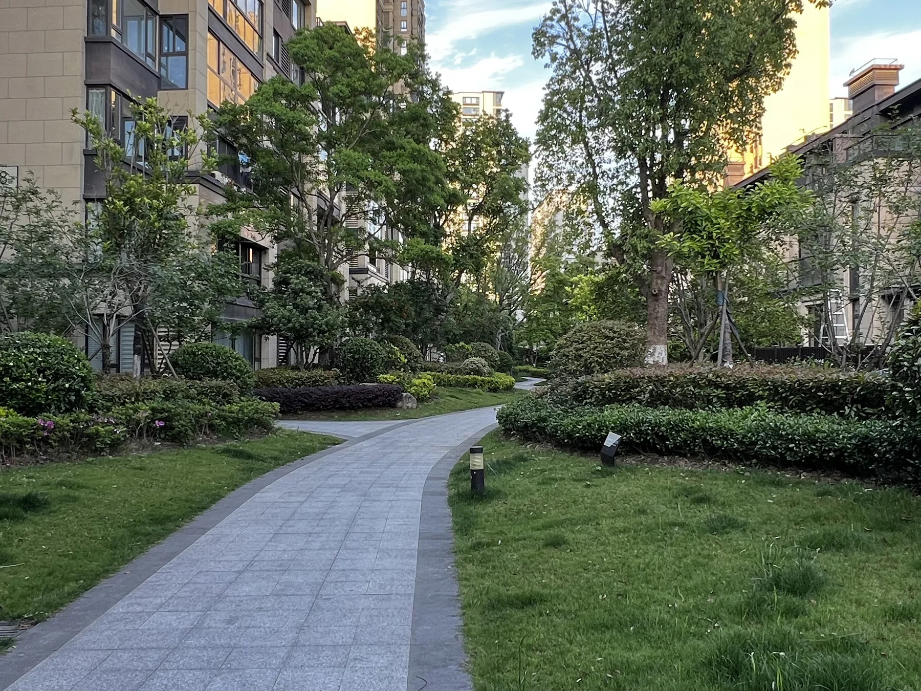 Scholar's Manor - Photo 4