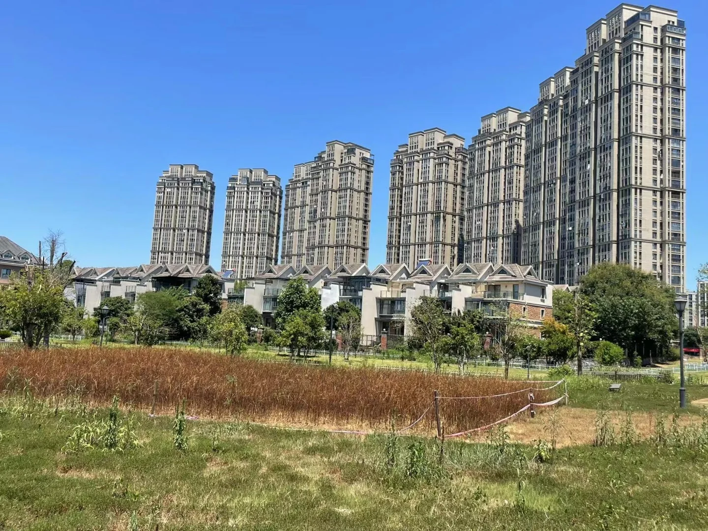 Glorious Garden - Photo 31