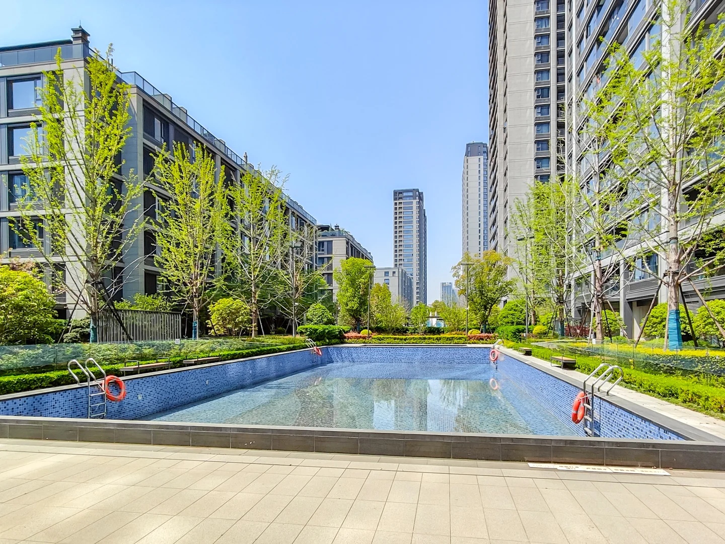 Osmanthus & Wave - Photo 4