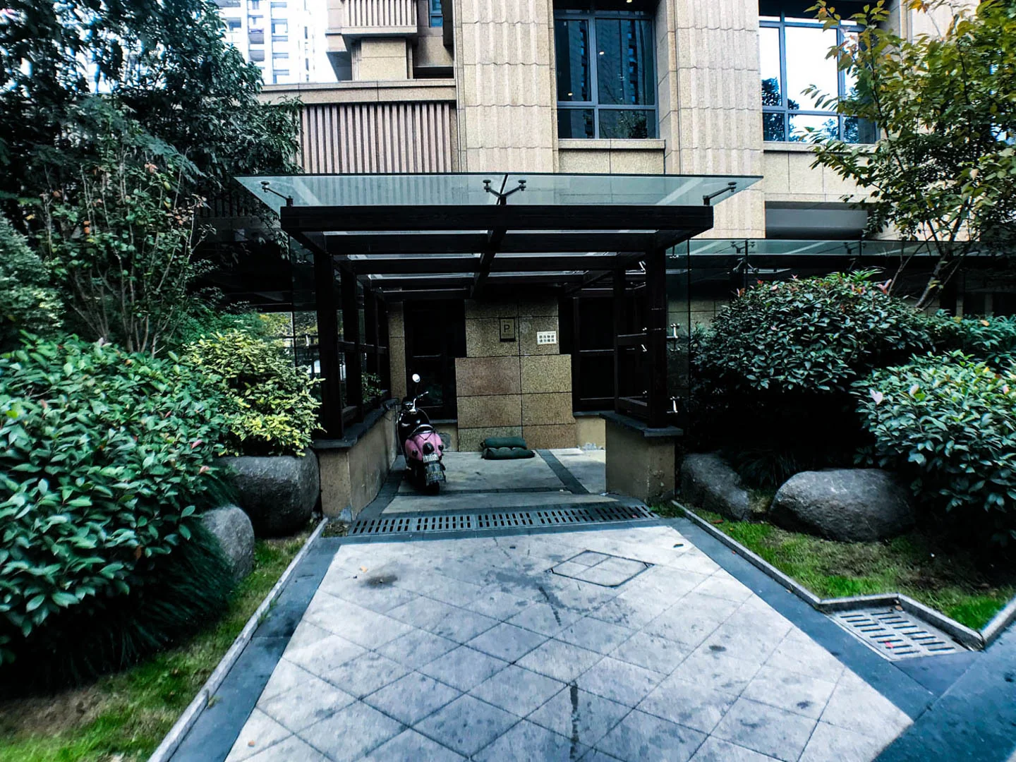 Lucky Peninsula - Photo 11