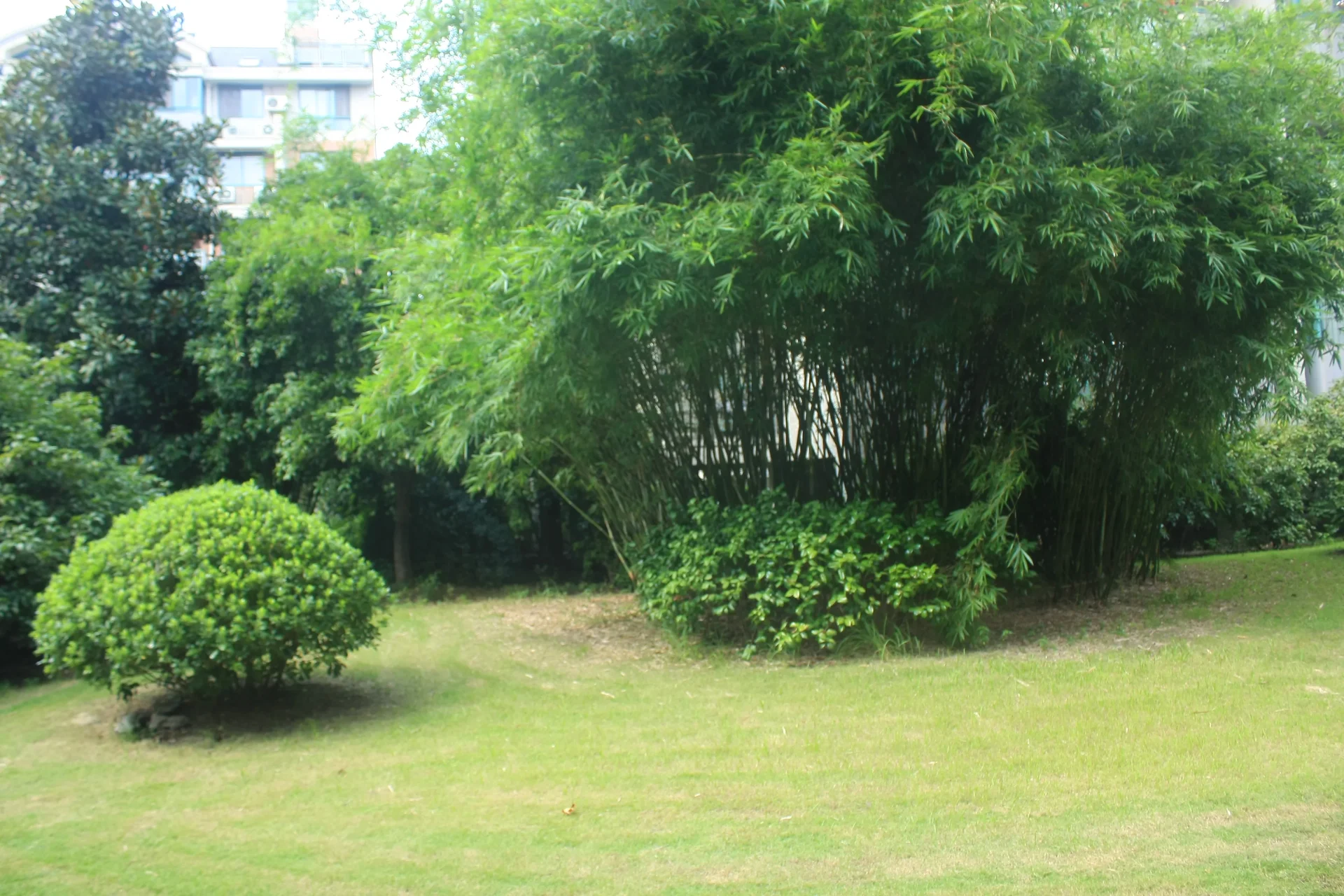 Sanhua Lucky Garden - Photo 34